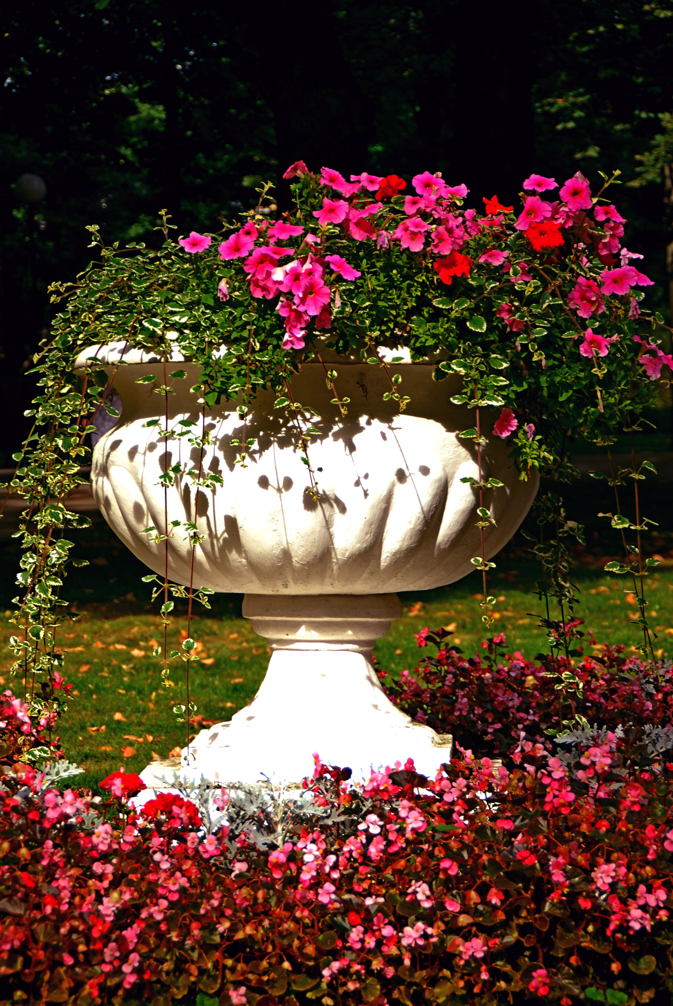 Nikon D60 sample photo