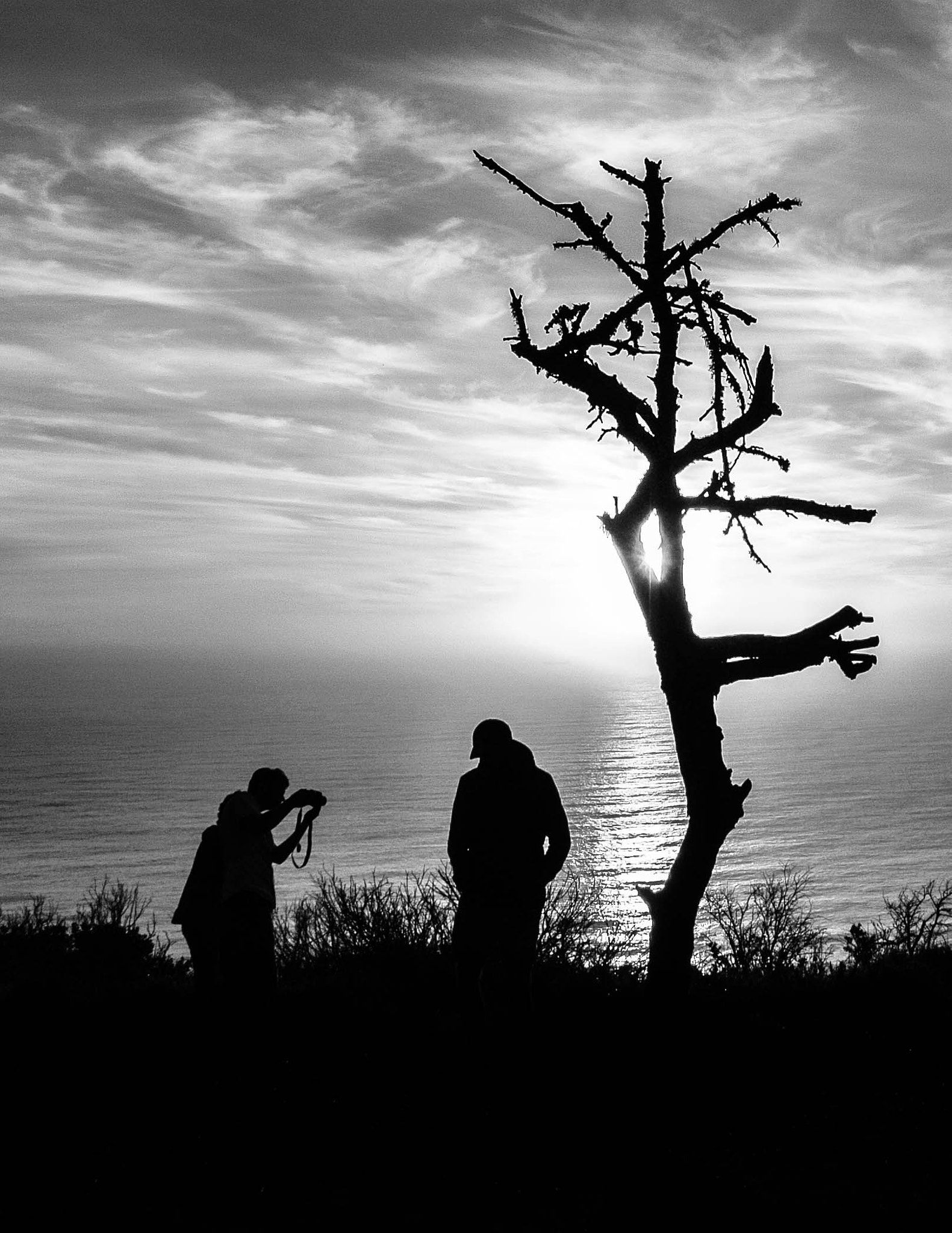 Nikon 1 Nikkor VR 10-30mm F3.5-5.6 sample photo. B&w. photography