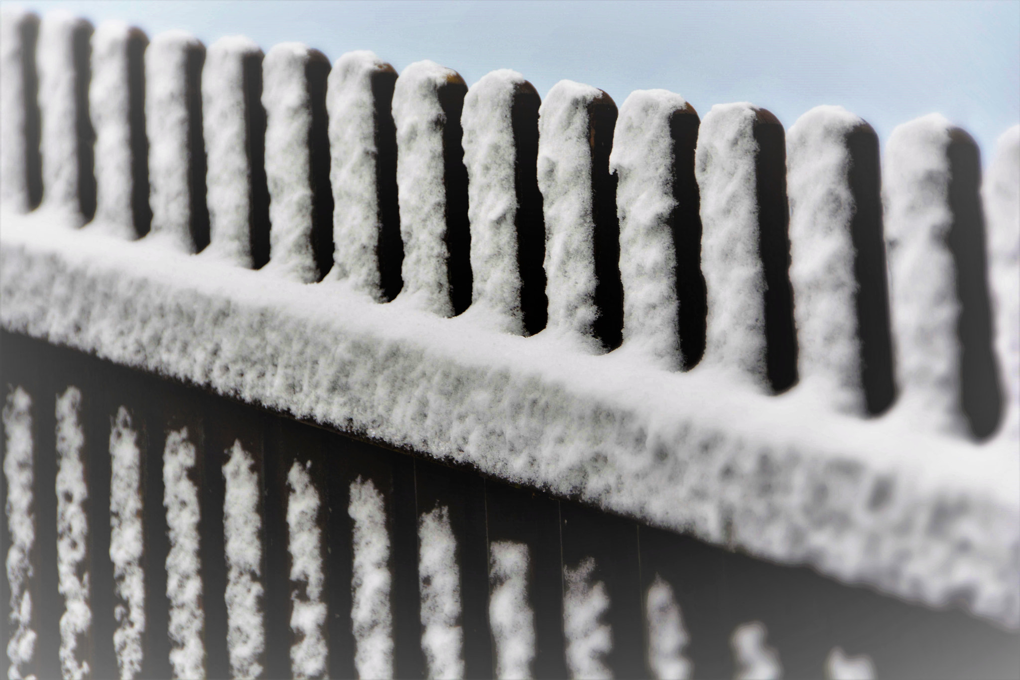 Sigma 18-250mm F3.5-6.3 DC OS HSM sample photo. Snowed in photography