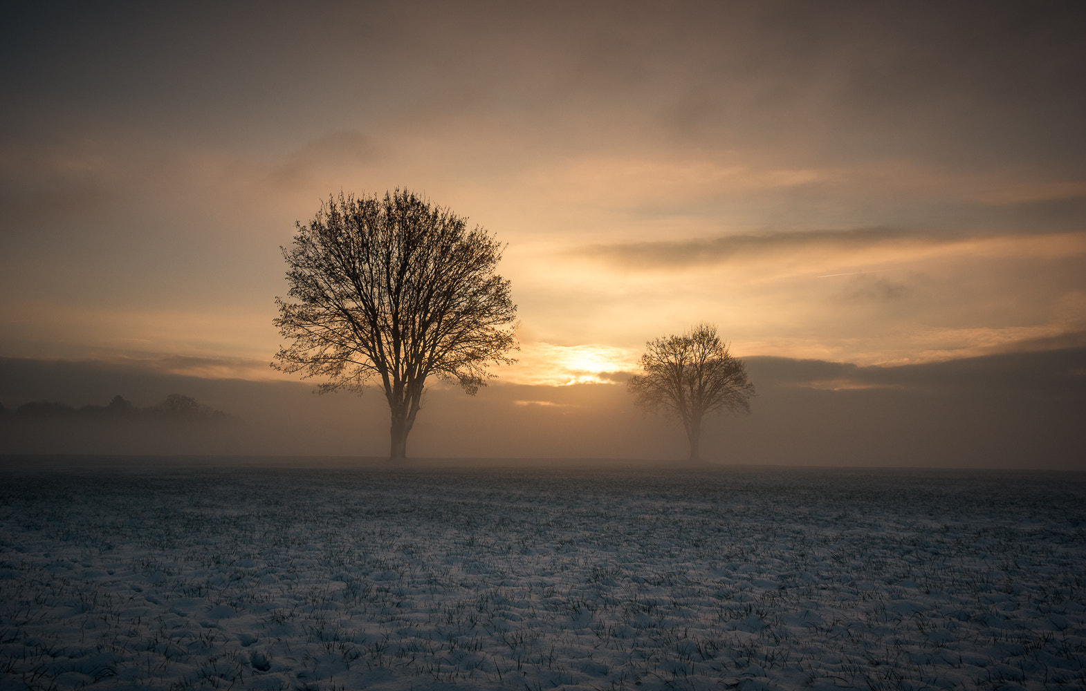 Pentax K-3 II sample photo. One morning in january photography