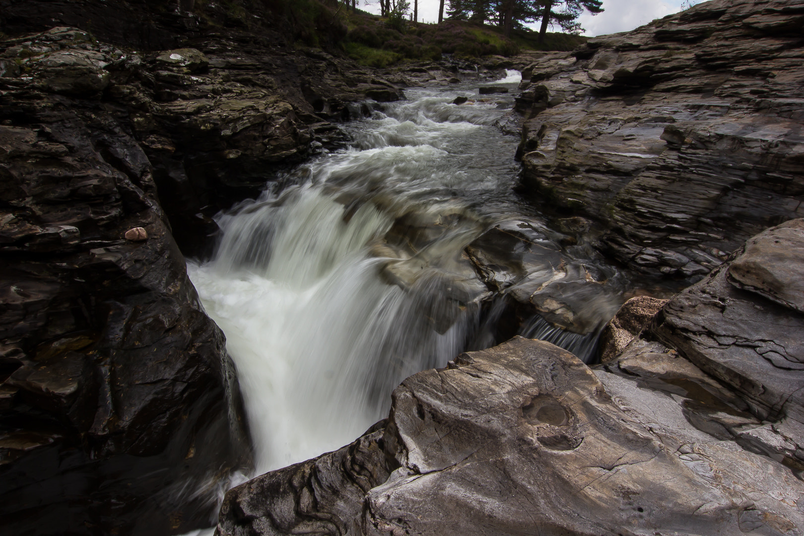 Tokina AT-X Pro 12-24mm F4 (IF) DX sample photo. Running crazy photography