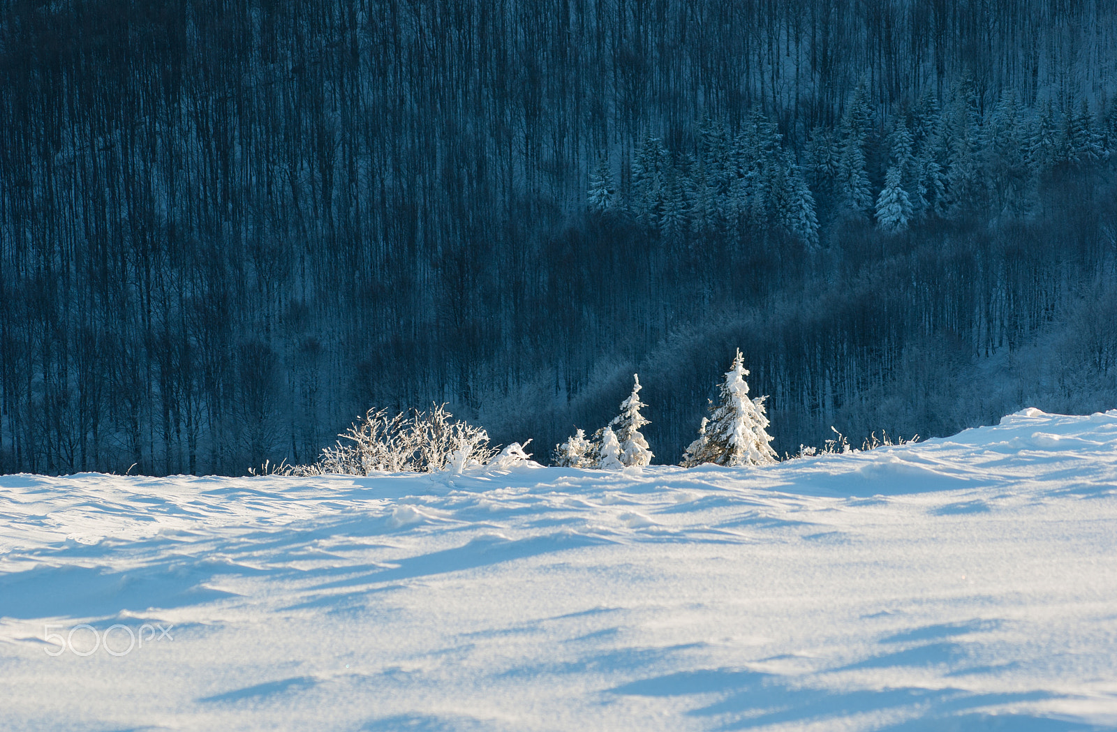 Pentax K10D sample photo. Winter landscapes photography