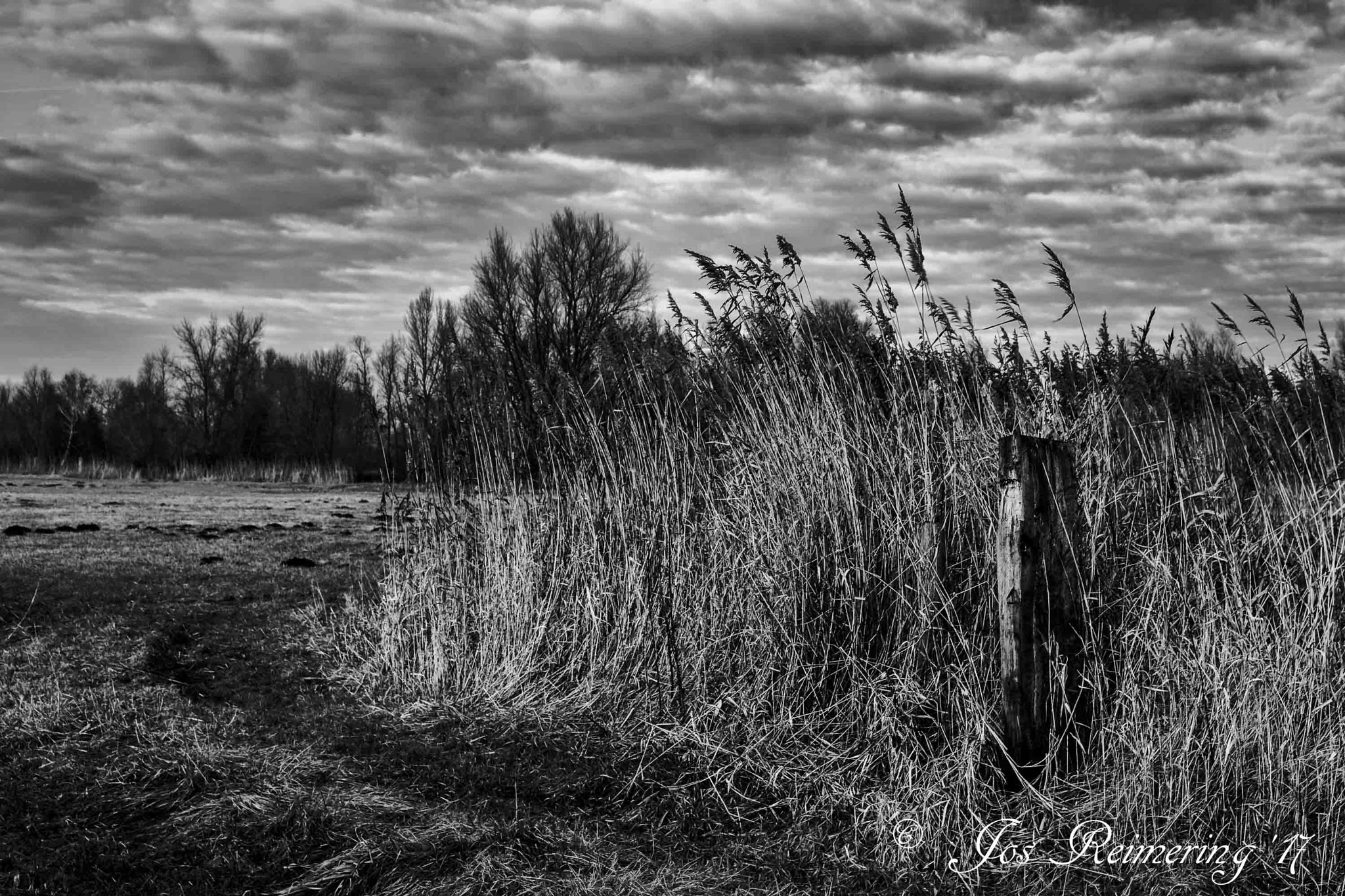 Sigma 17-50mm F2.8 EX DC OS HSM sample photo. Landscape photography