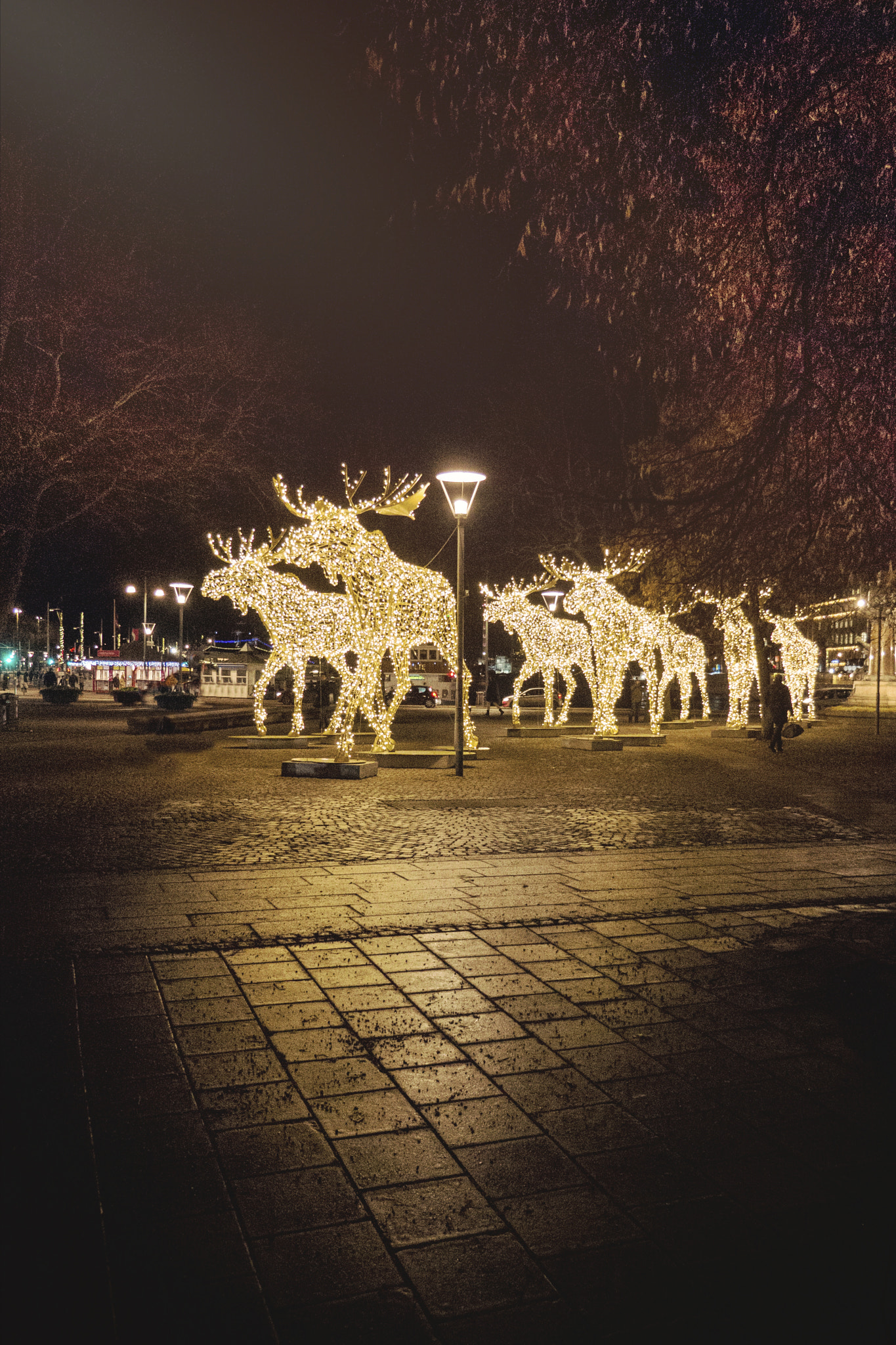 Panasonic Lumix DMC-GH3 sample photo. Moose visit stockholm photography