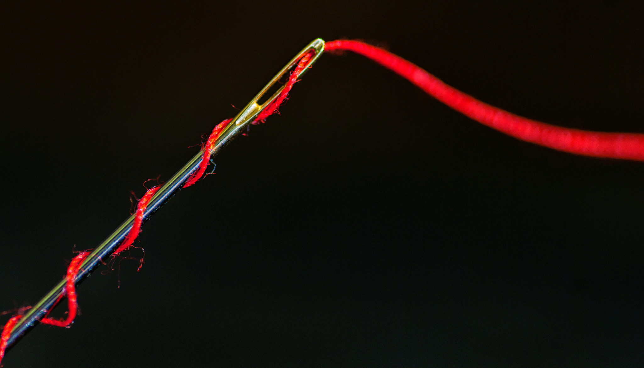 Tamron SP AF 90mm F2.8 Di Macro sample photo. Red thread photography