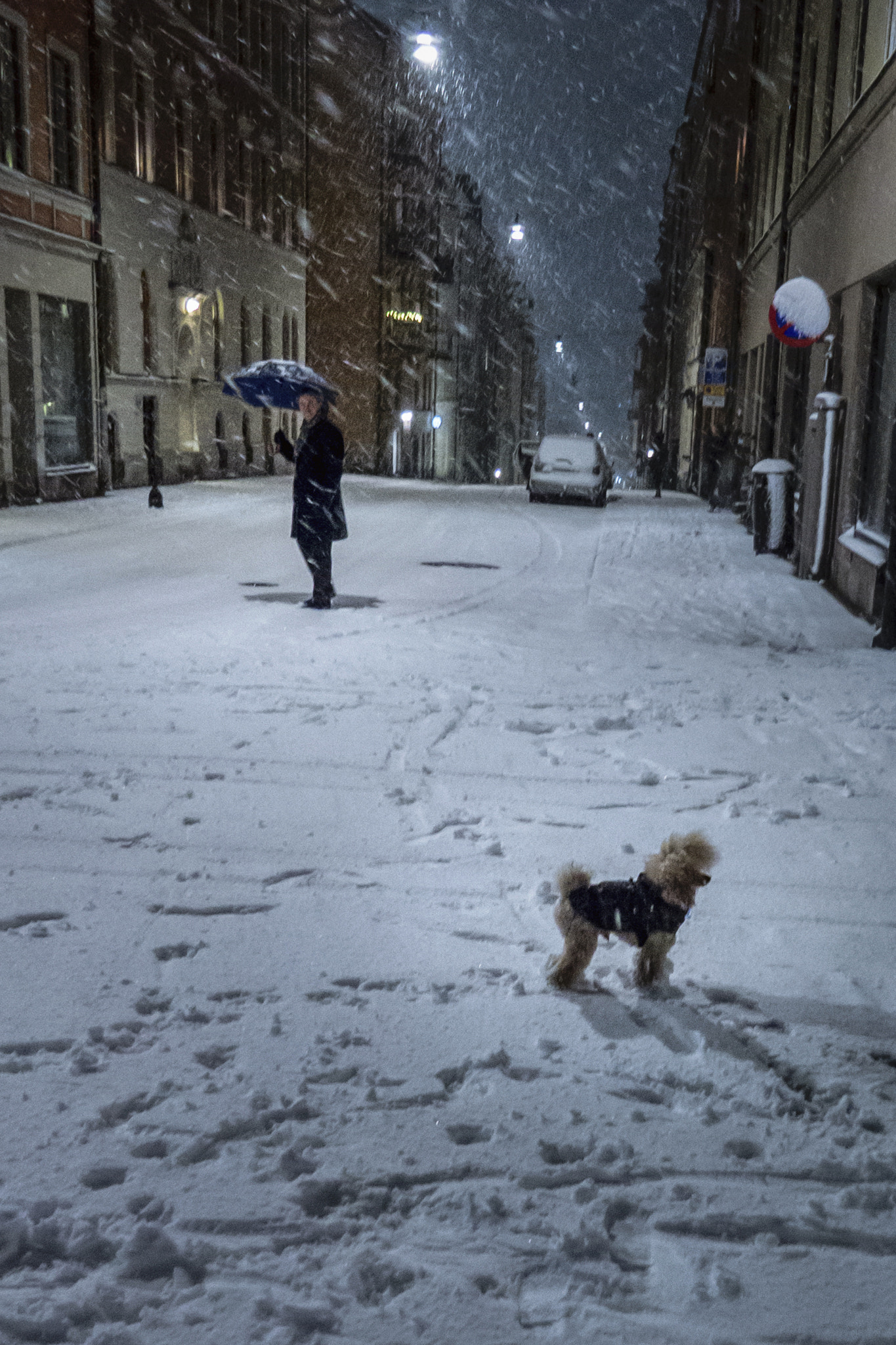 Panasonic Lumix DMC-GH3 sample photo. Taking a walk in the cold winter photography