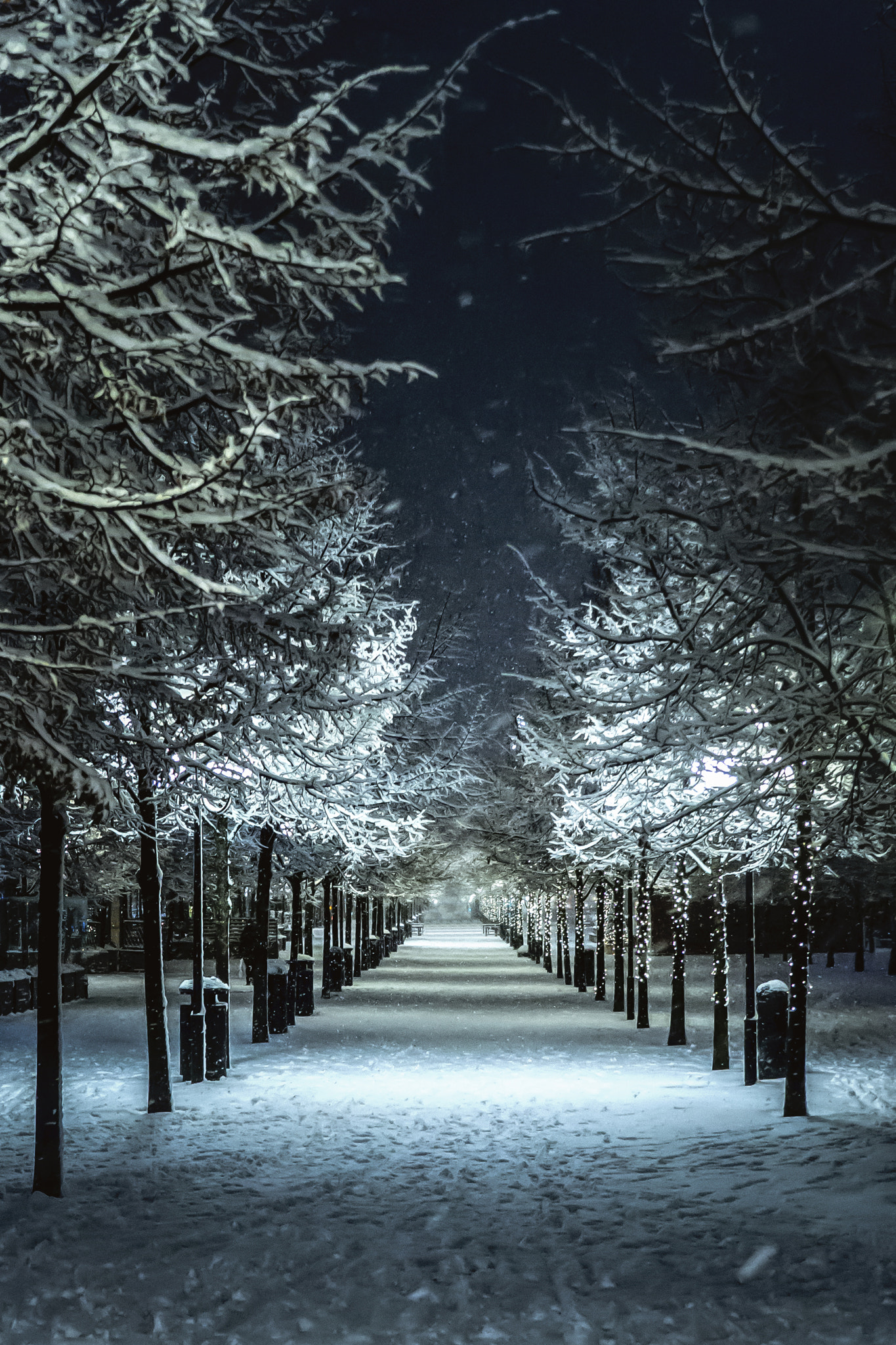 Panasonic Lumix DMC-GH3 sample photo. Magical snowy stockholm. narnia. photography