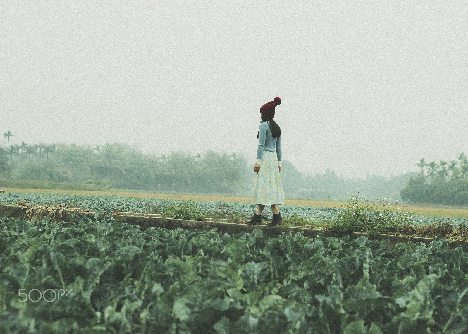 Canon EOS 600D (Rebel EOS T3i / EOS Kiss X5) sample photo. Thảo photography