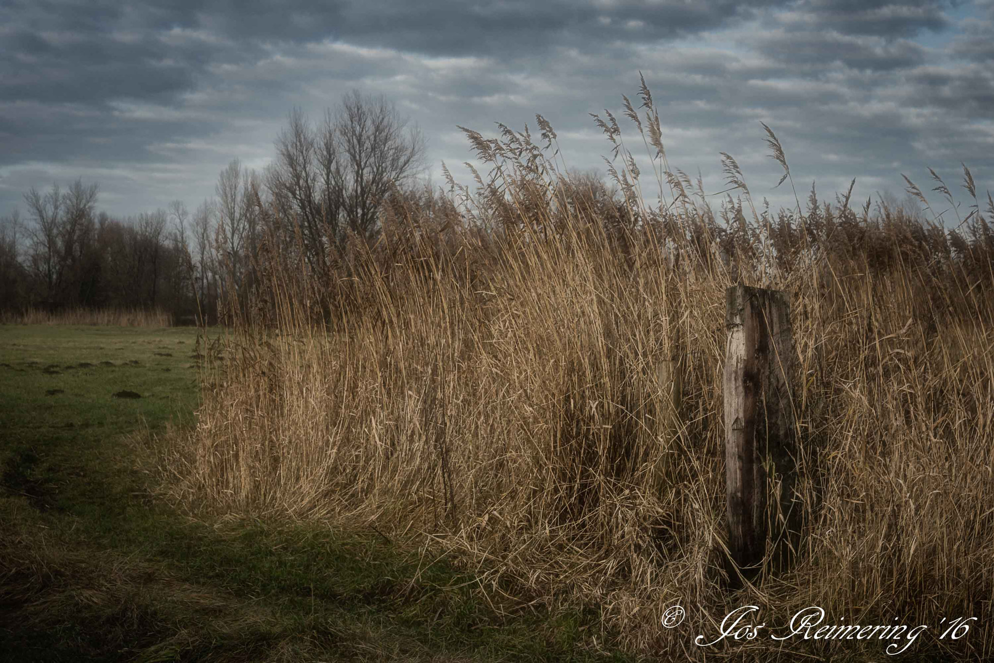 Sigma 17-50mm F2.8 EX DC OS HSM sample photo. Landscape photography