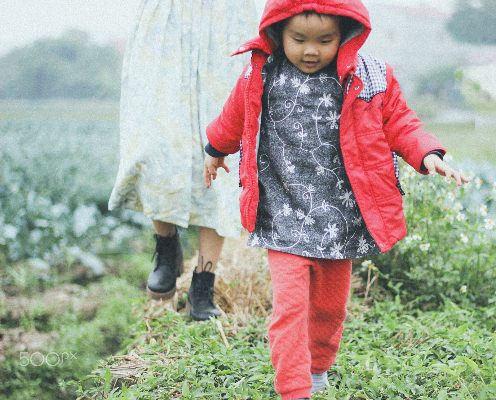 Canon EOS 600D (Rebel EOS T3i / EOS Kiss X5) sample photo. Thư photography