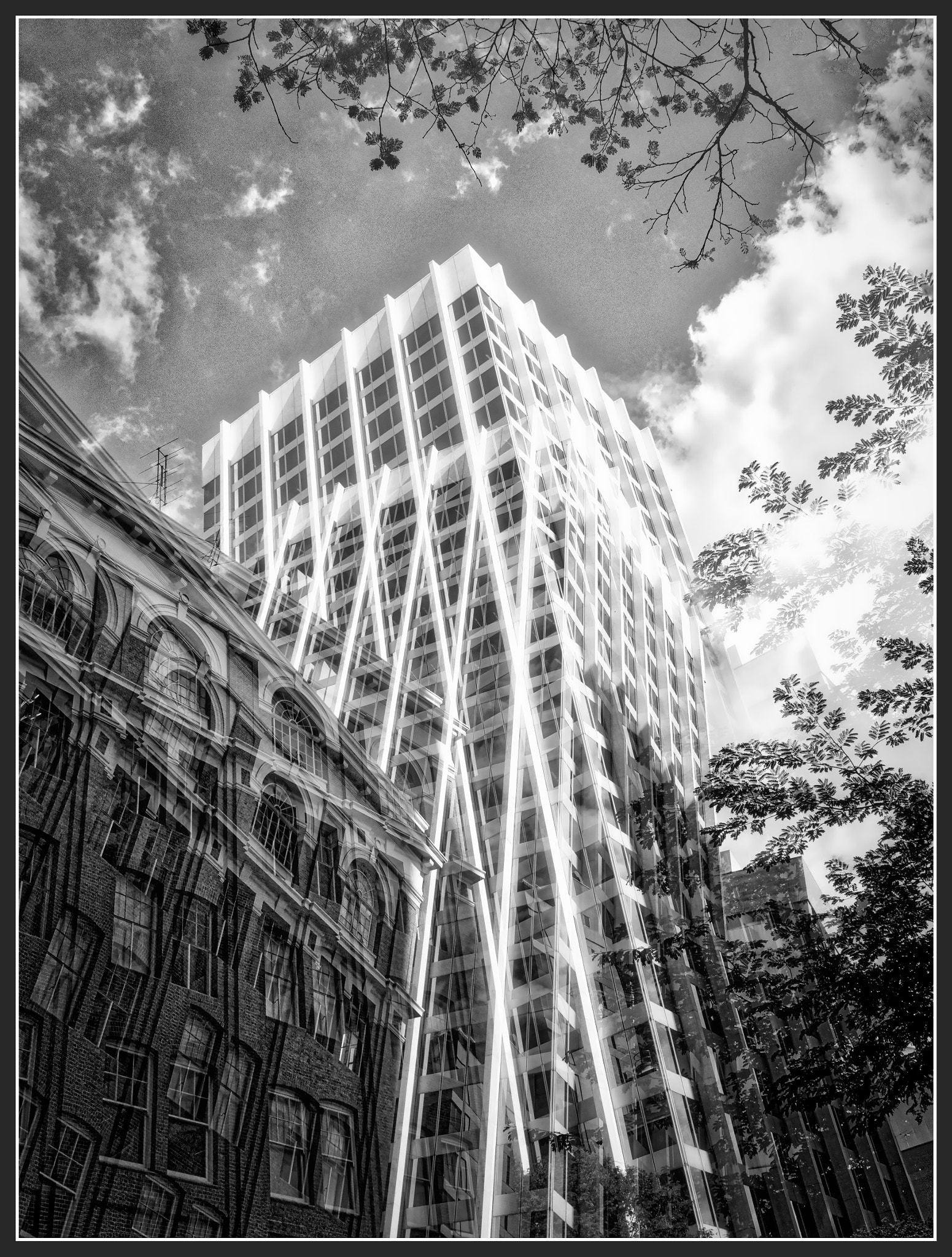 Olympus OM-D E-M10 + Olympus M.Zuiko Digital 17mm F1.8 sample photo. Brisbane cbd photography