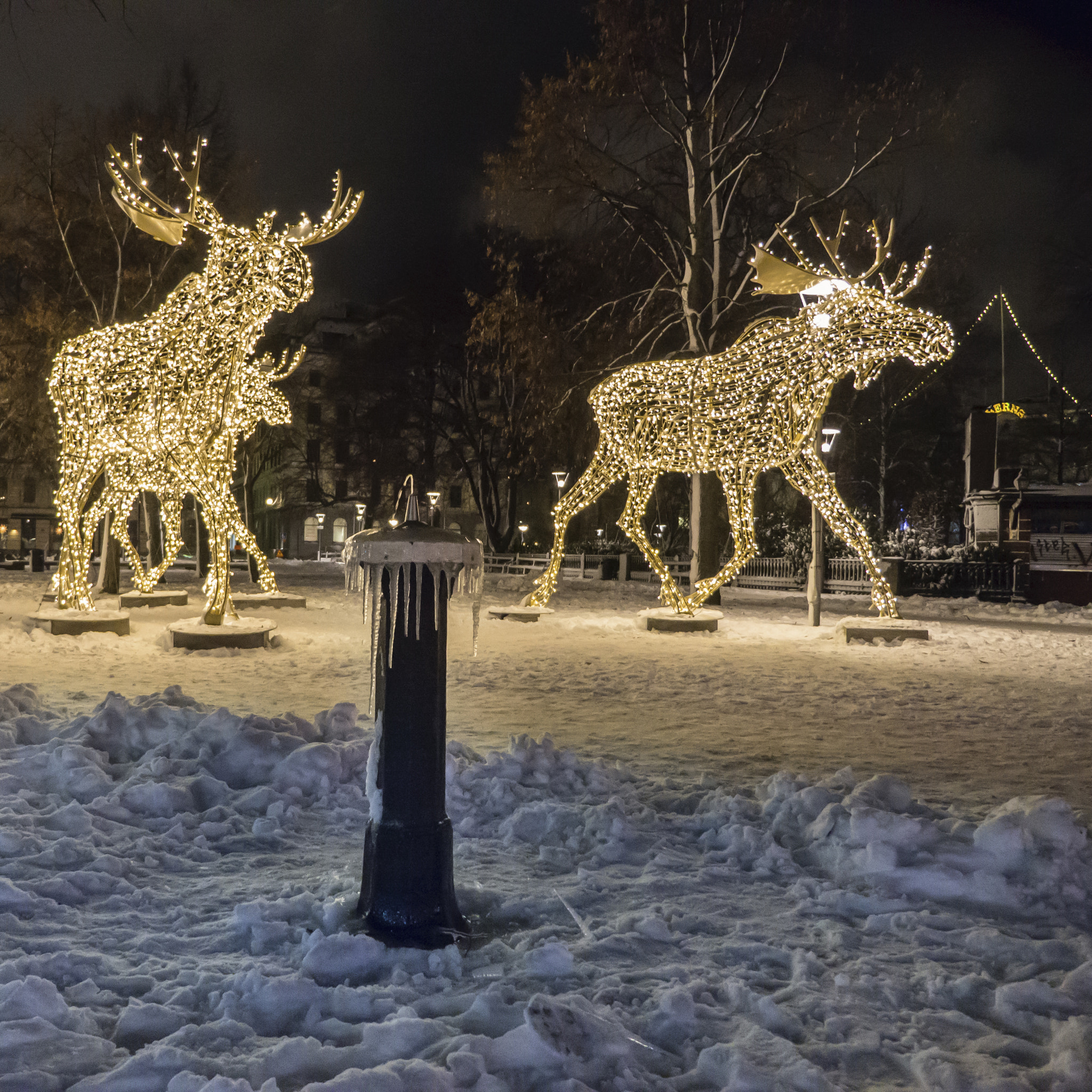 Panasonic Lumix DMC-GH3 sample photo. Moose in stockholm photography