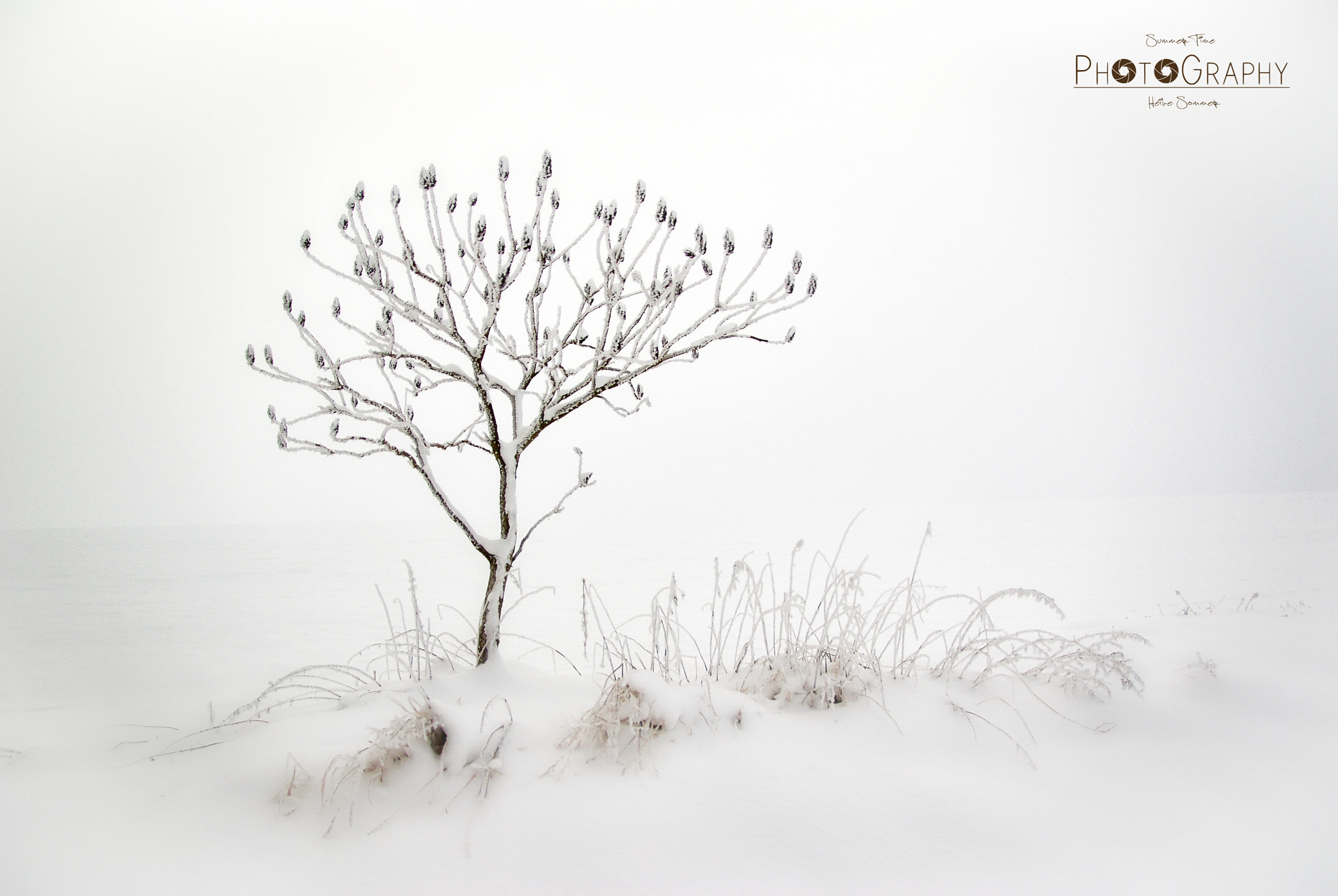 Pentax K10D sample photo. Wintertime photography