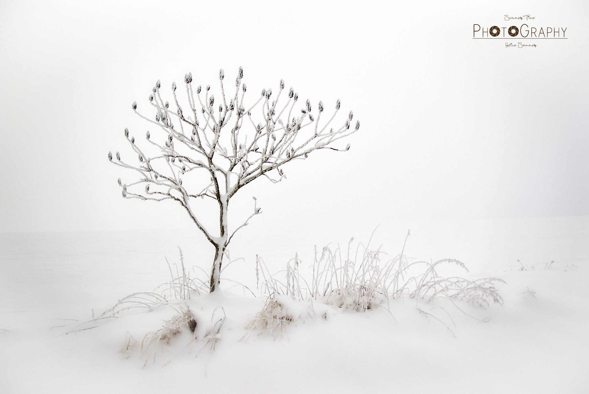 Sigma AF 10-20mm F4-5.6 EX DC sample photo. Wintertime photography