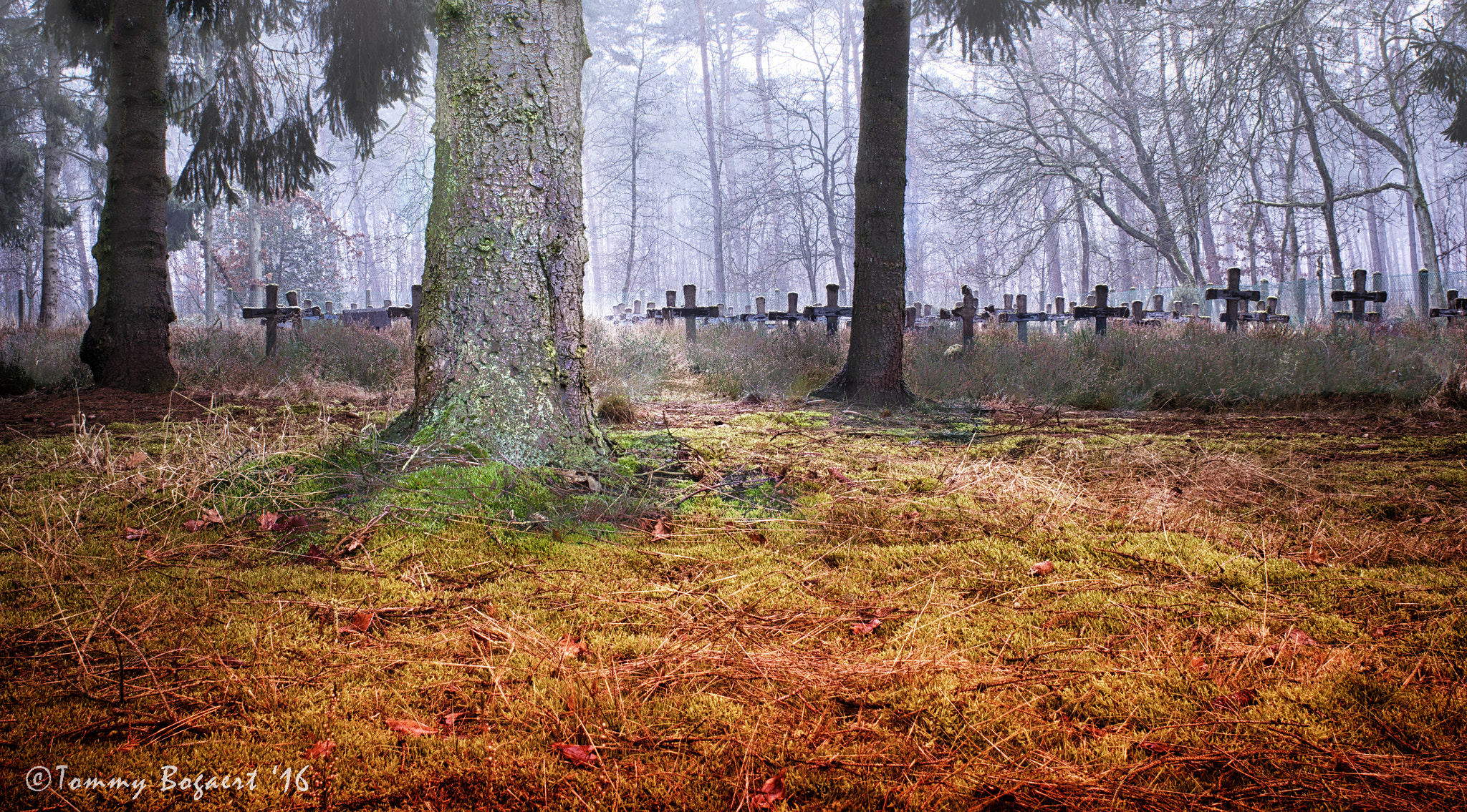 Canon EOS 550D (EOS Rebel T2i / EOS Kiss X4) + Canon EF 28mm F2.8 sample photo. Surrealistic cemetery  photography