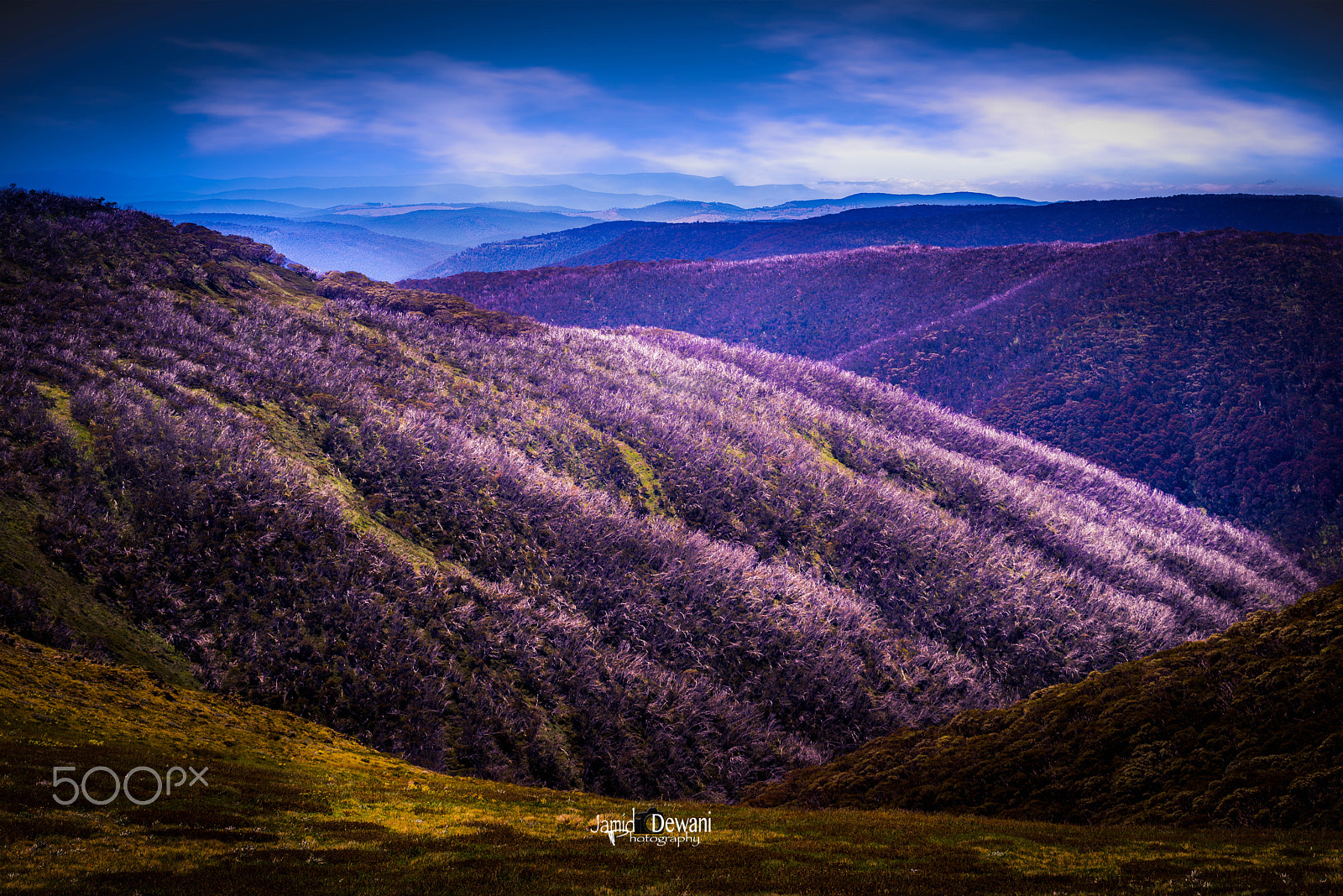 Nikon D600 sample photo. Misty alps photography