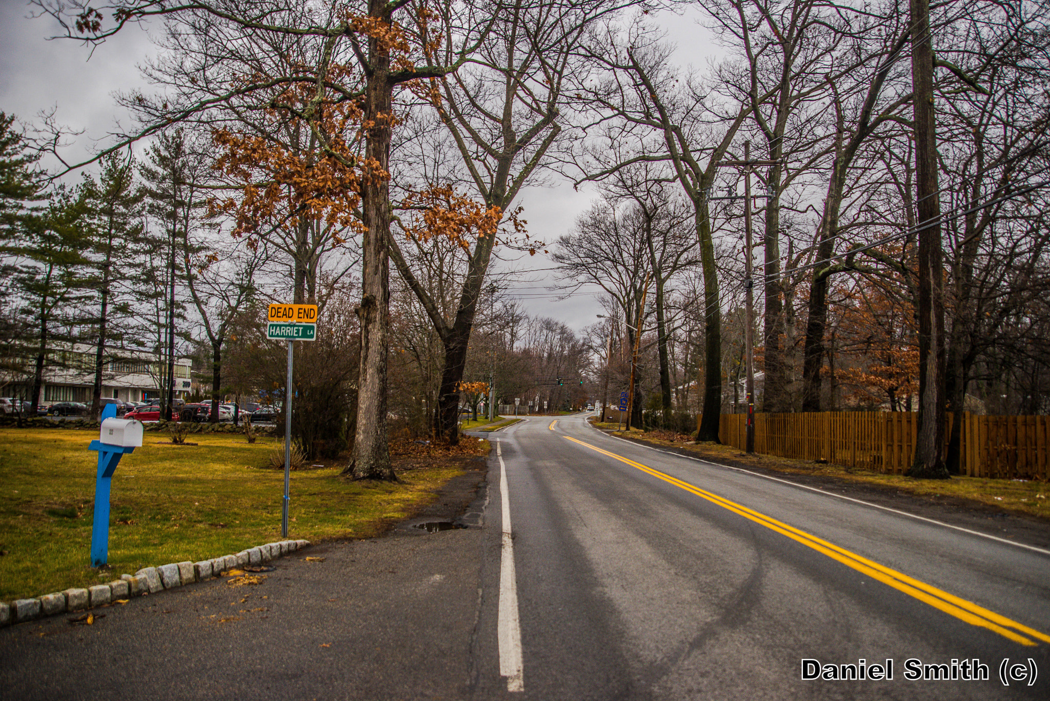 Sigma 28-300mm F3.5-6.3 DG Macro sample photo. Nanuet photography