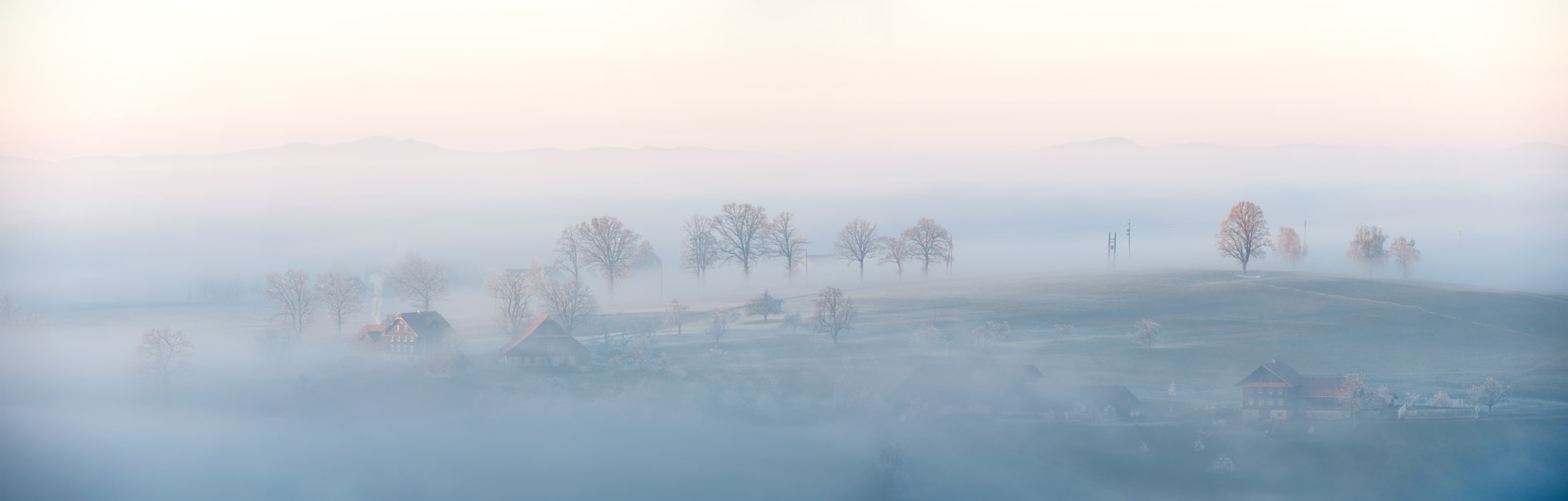 Nikon D3X sample photo. Fog covers sigigen photography