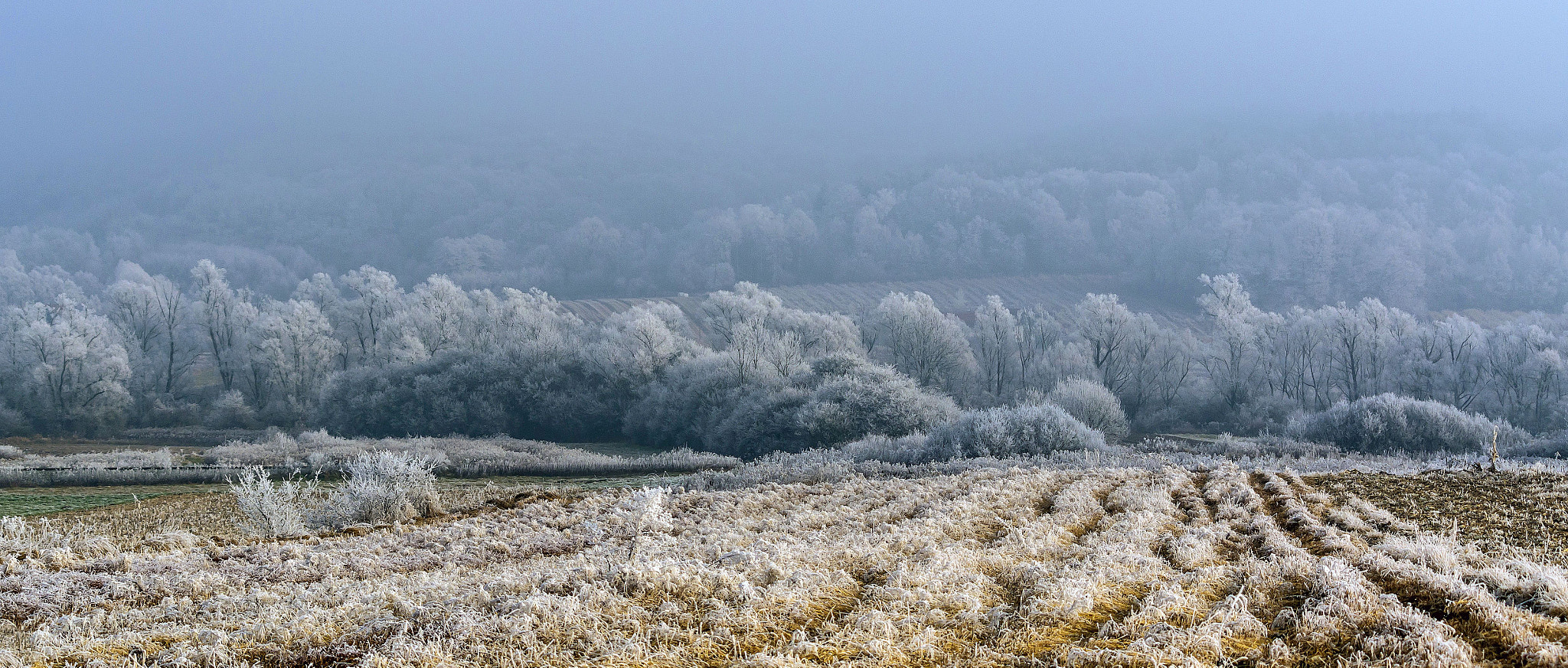 Pentax smc DA 55-300mm F4.0-5.8 ED sample photo. Frozen fields photography