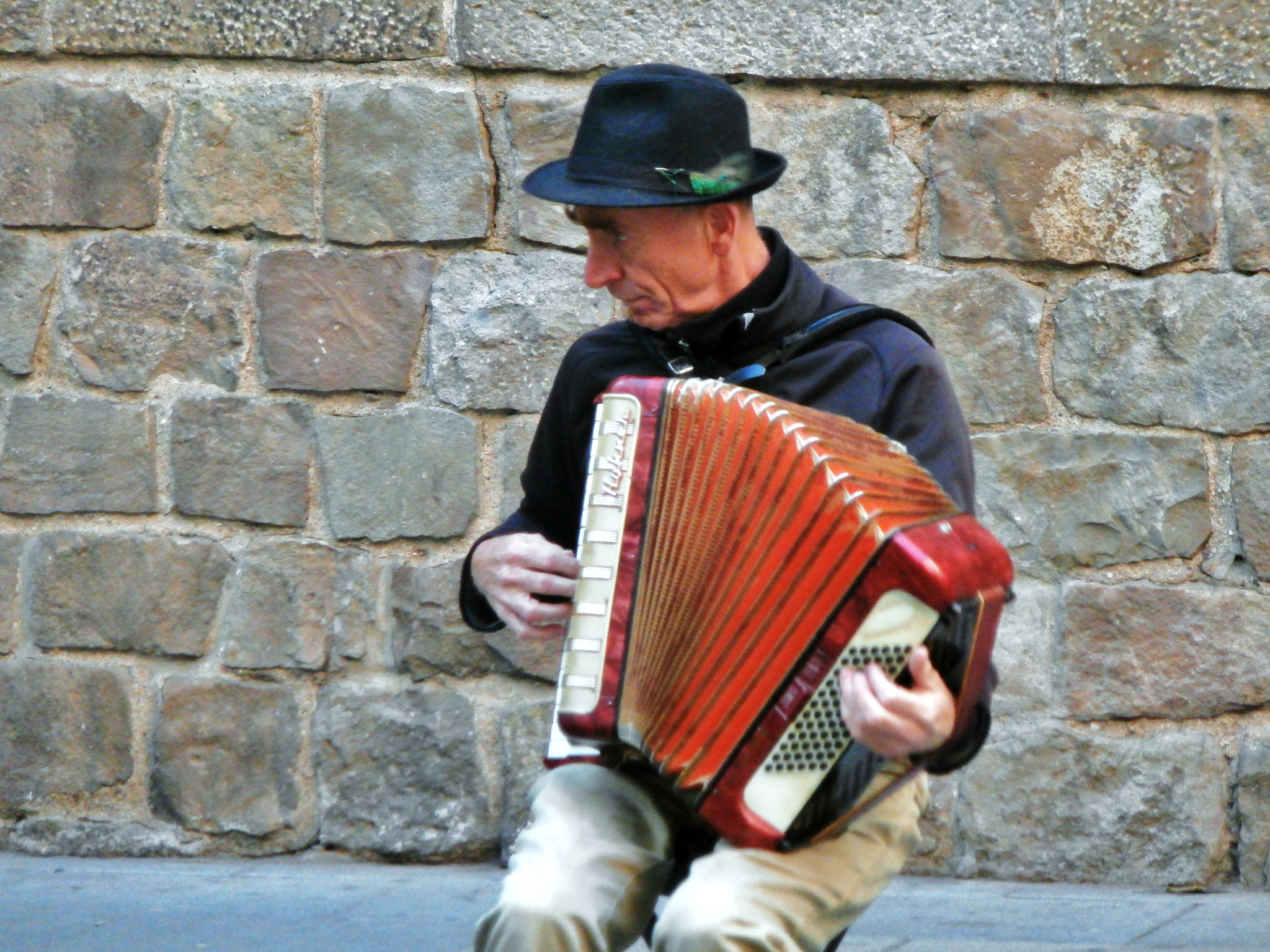 Olympus VR340,D750 sample photo. El acordeonista... photography