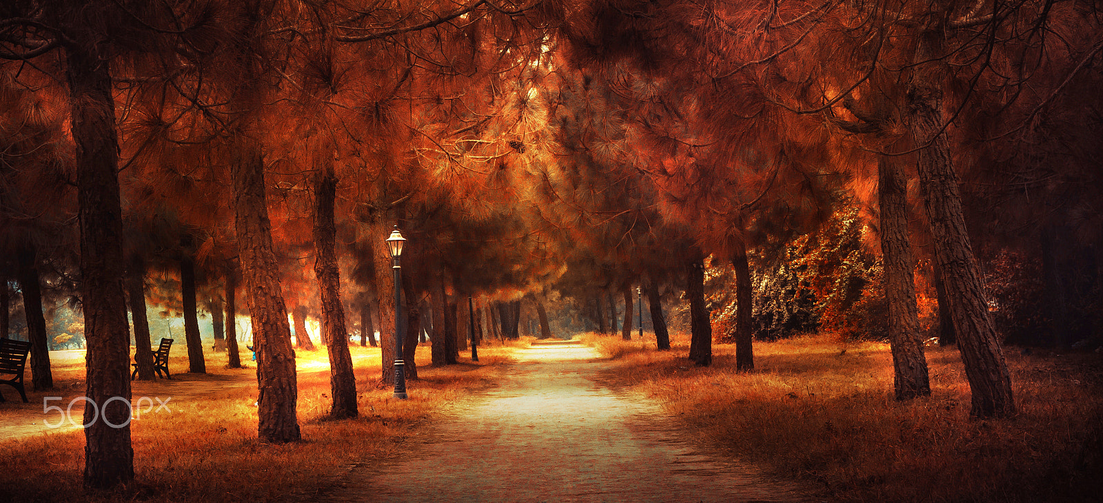 Canon EF-S 18-55mm F3.5-5.6 II sample photo. Bright paths photography