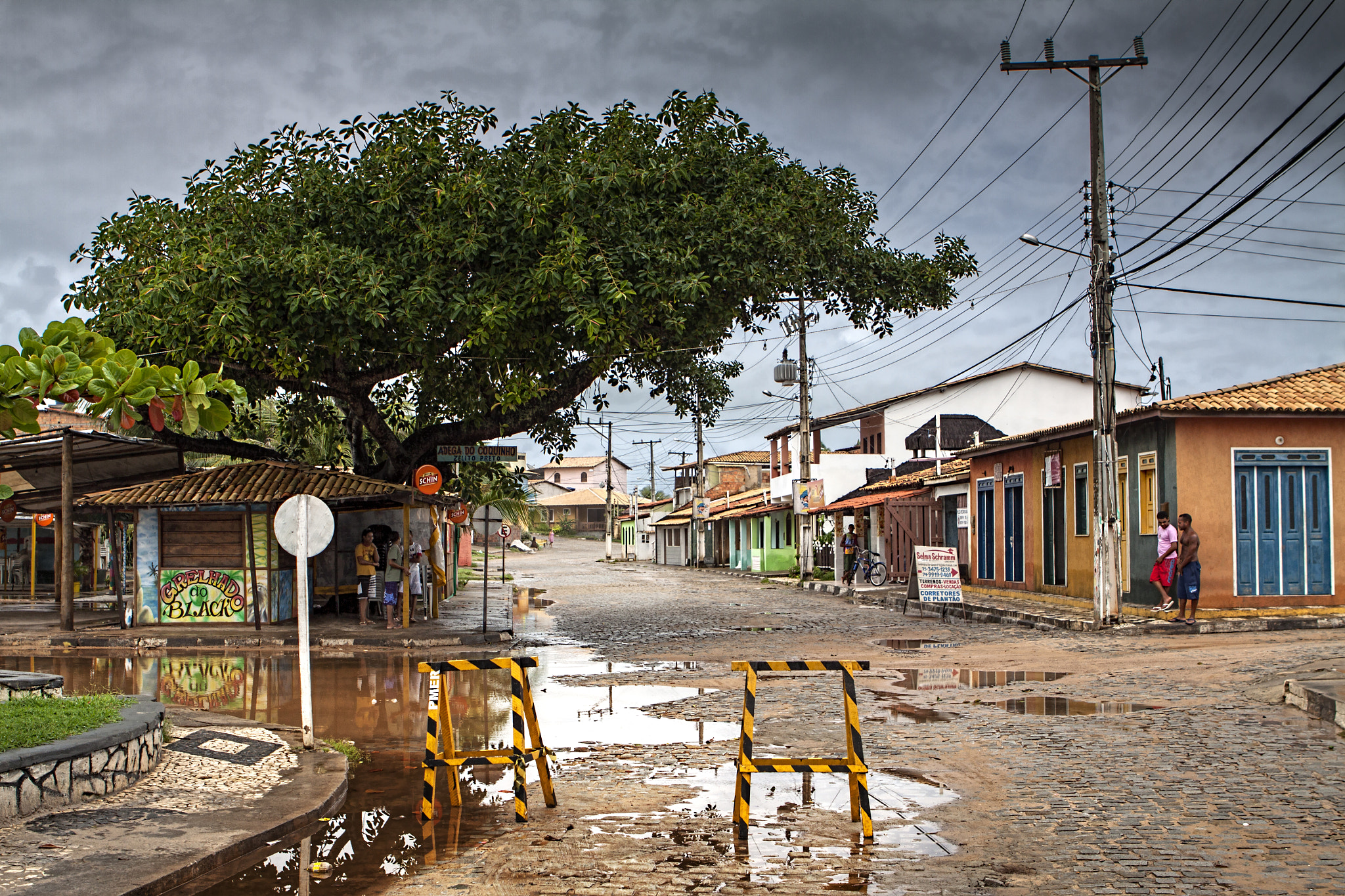 Canon EOS 50D + Canon EF 24-70mm F2.8L USM sample photo. Lluvia tropical photography