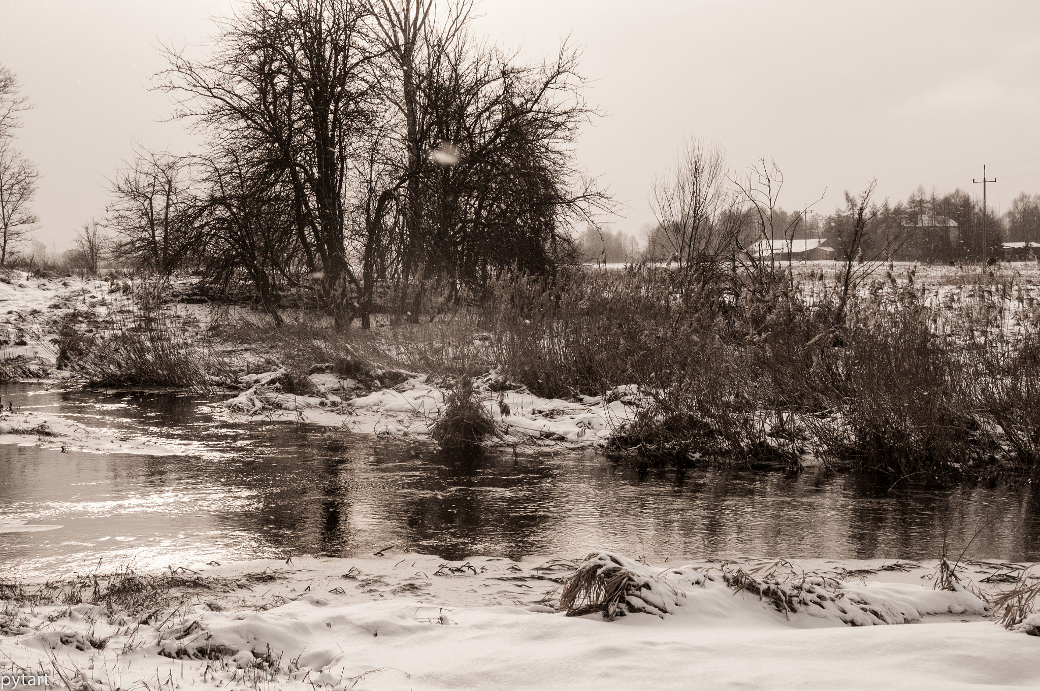Sony NEX-VG20E sample photo. Winter in the countryside photography