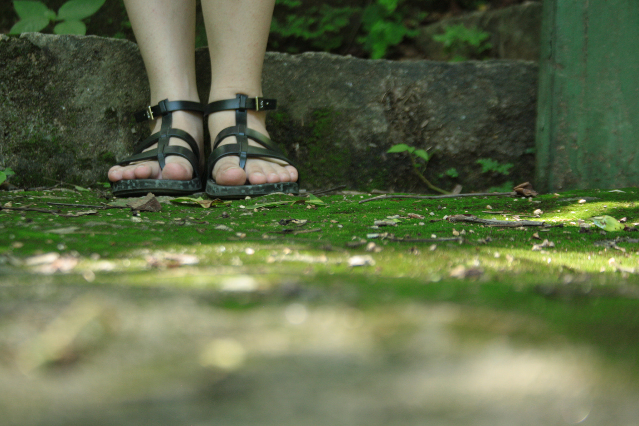 Canon EOS 1000D (EOS Digital Rebel XS / EOS Kiss F) sample photo. Path photography