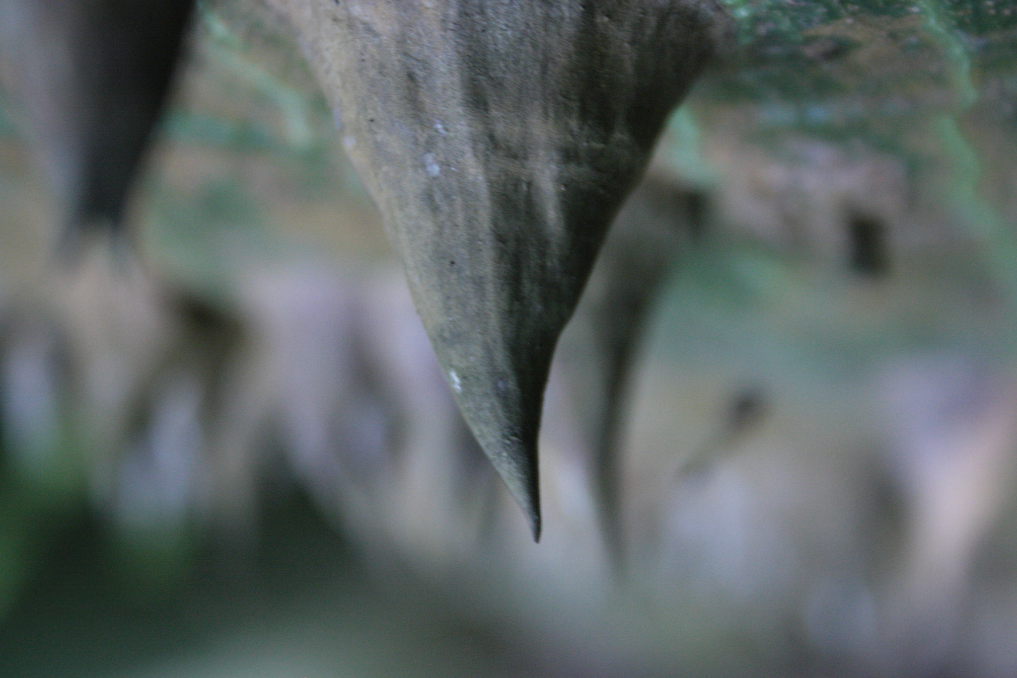 Canon EOS 1000D (EOS Digital Rebel XS / EOS Kiss F) sample photo. Eruption photography