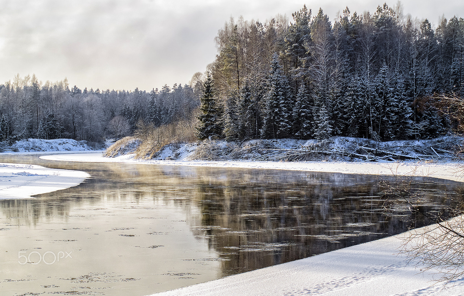 Sony SLT-A58 sample photo. Gauja photography