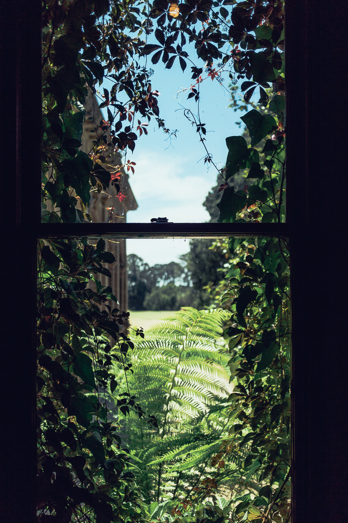 Canon EOS M3 + Canon EF-M 22mm F2 STM sample photo. Window photography