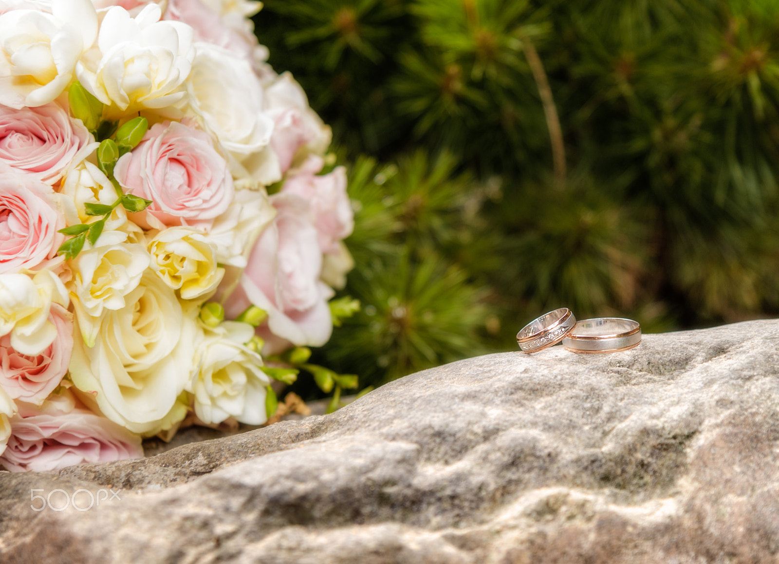 Canon EF-S 17-55mm F2.8 IS USM sample photo. Rings photography