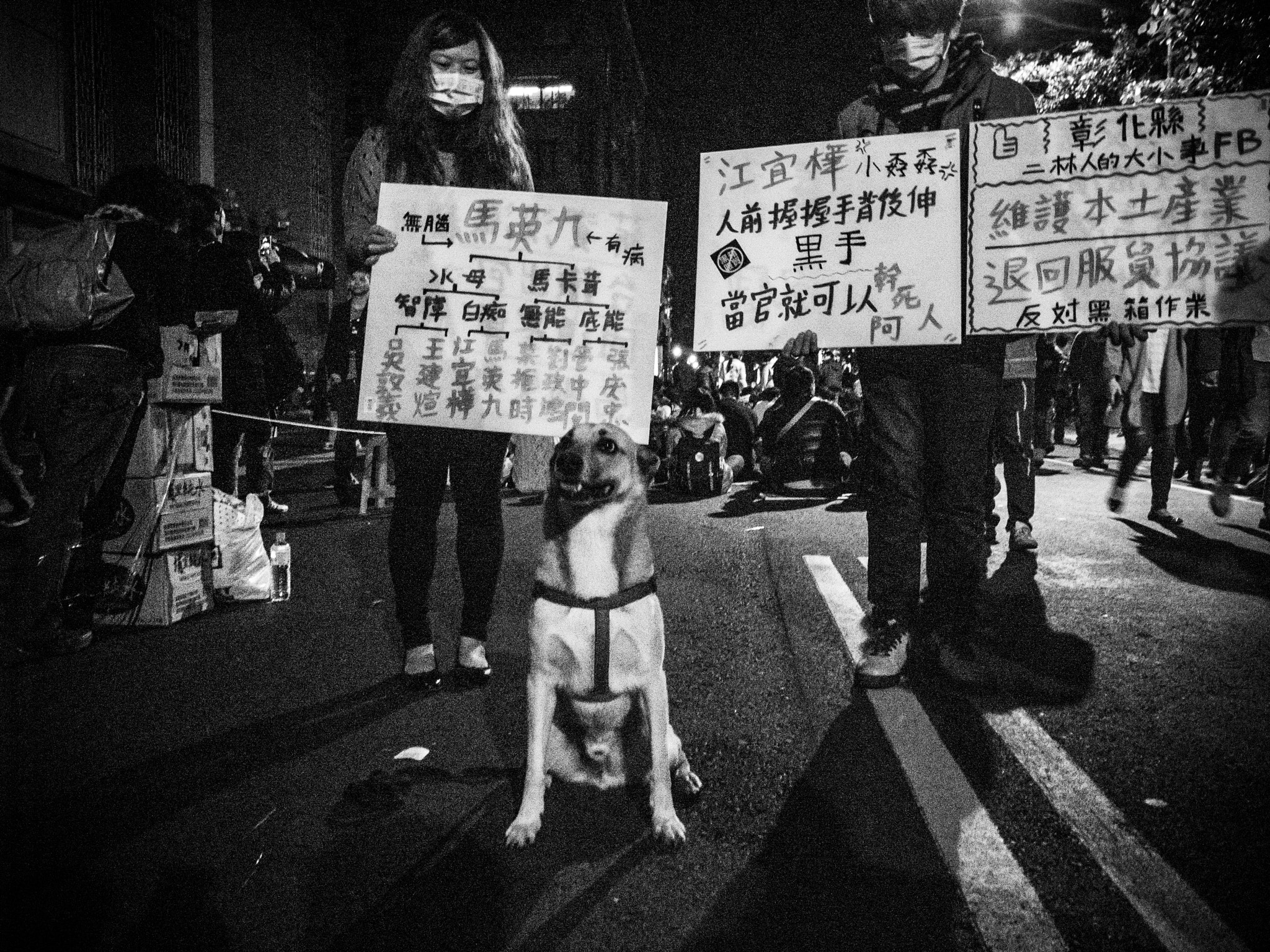 Ricoh GR DIGITAL 2 sample photo. Untitled photography