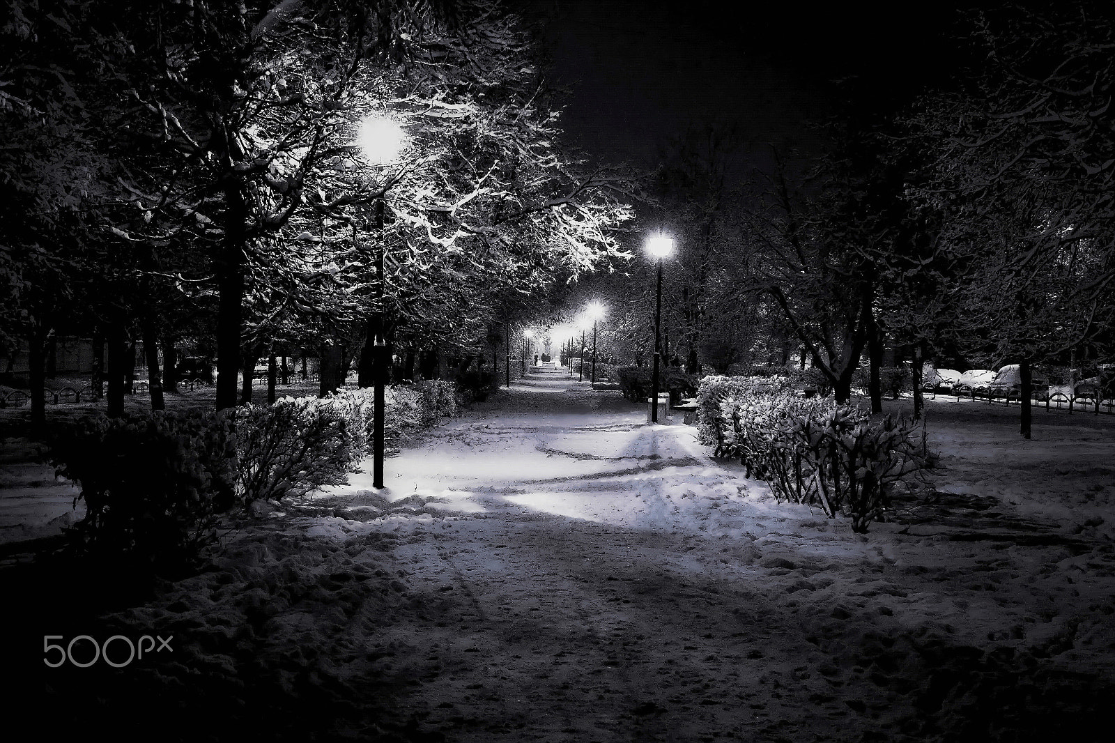 Canon EOS 650D (EOS Rebel T4i / EOS Kiss X6i) sample photo. Freezing night photography