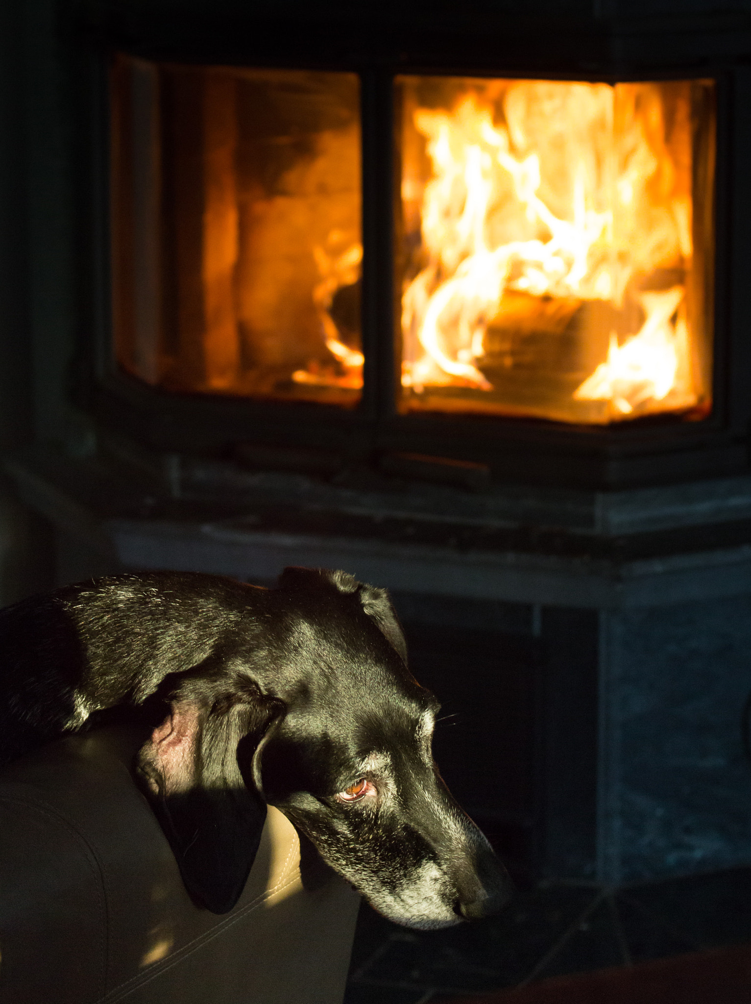 Sigma 70-200mm F2.8 EX DG OS HSM sample photo. Staying warm photography