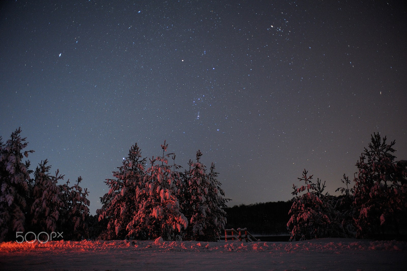 Nikon D700 sample photo. Winter fairytale photography