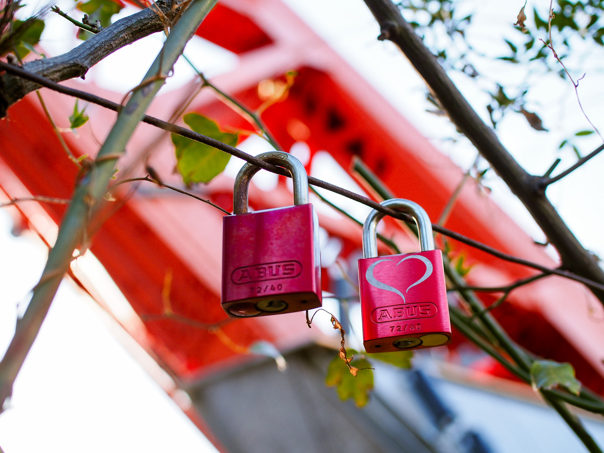 Olympus OM-D E-M5 + Olympus M.Zuiko Digital 25mm F1.8 sample photo. Double lock ... photography