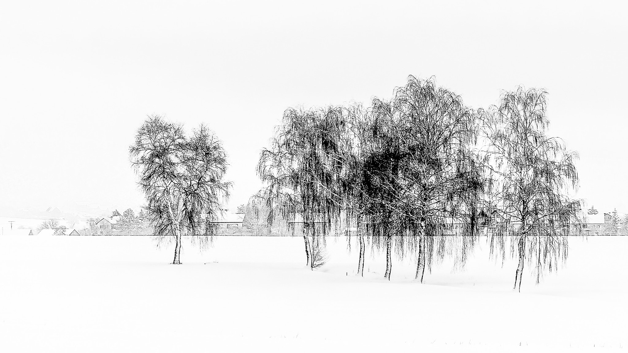 Nikon D300S sample photo. Winter in franken photography