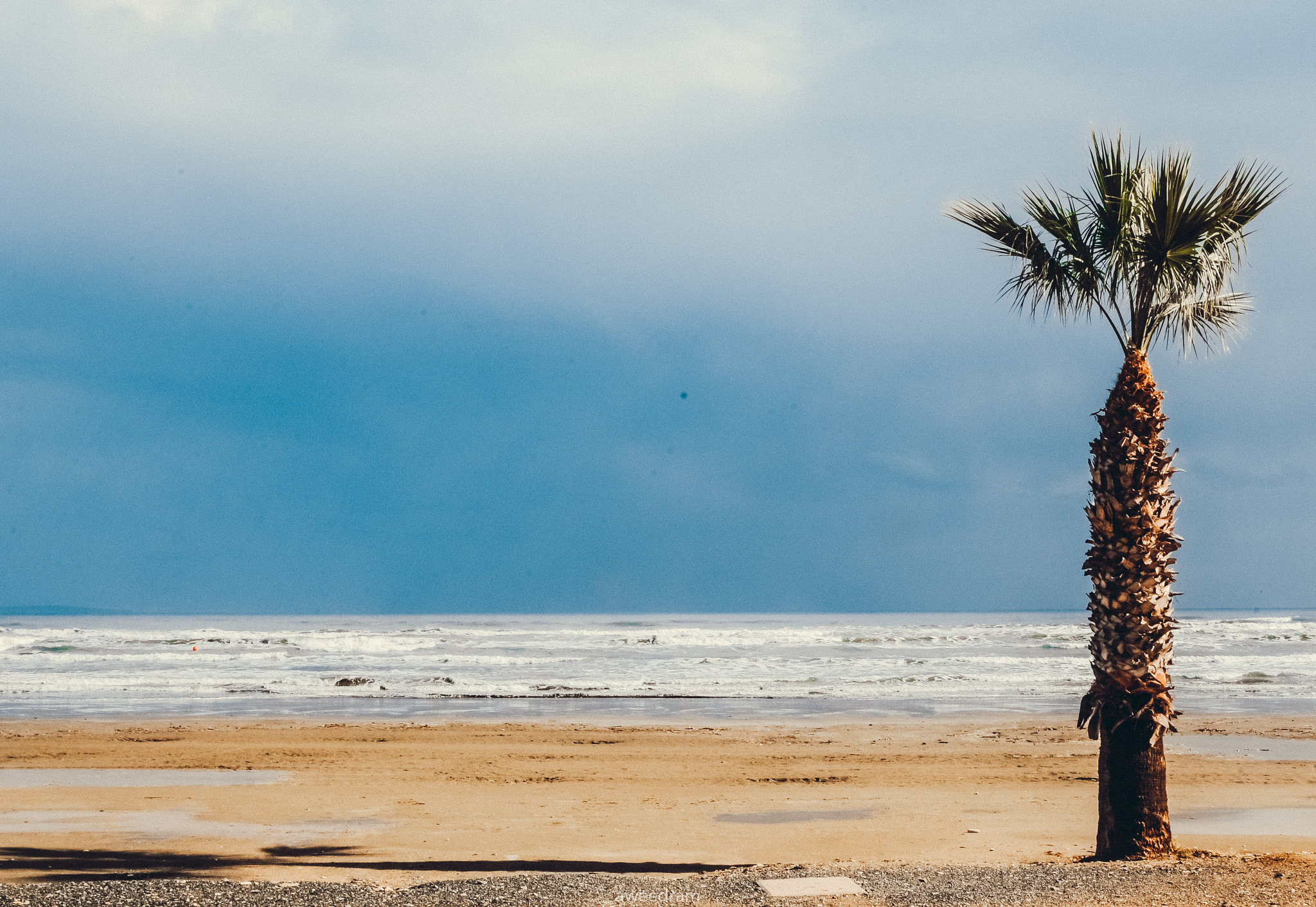 Nikon D300 sample photo. Palm beach photography