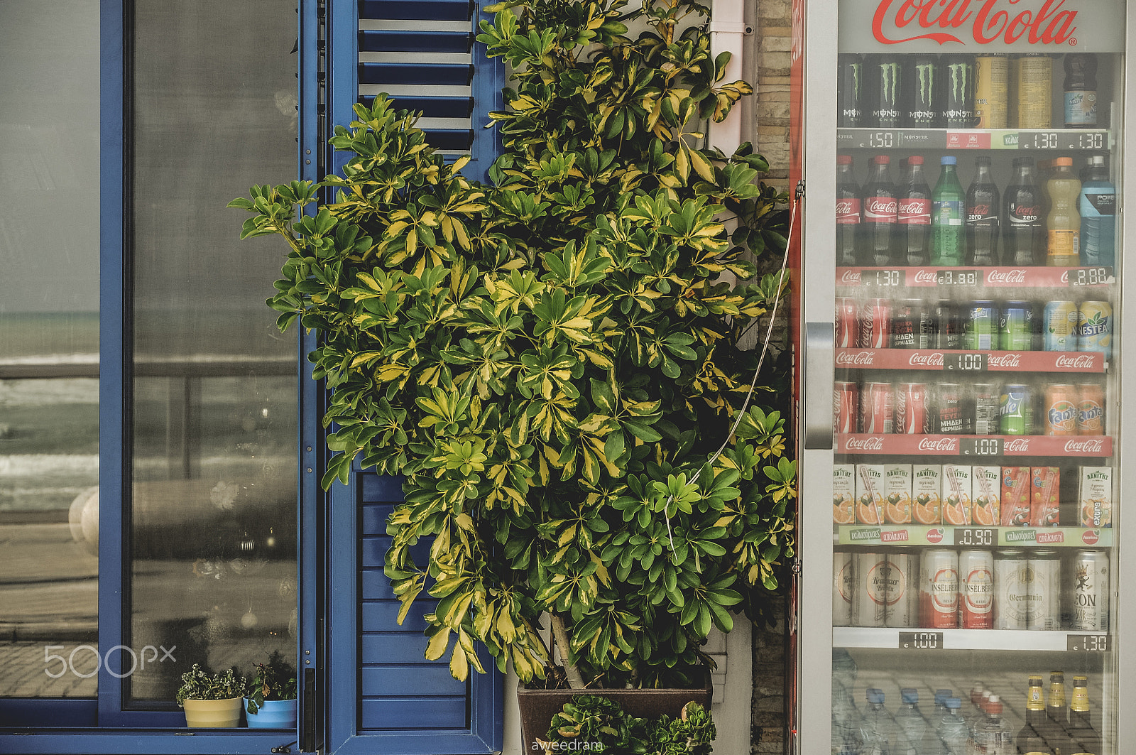 Nikon D300 sample photo. Cola street photography