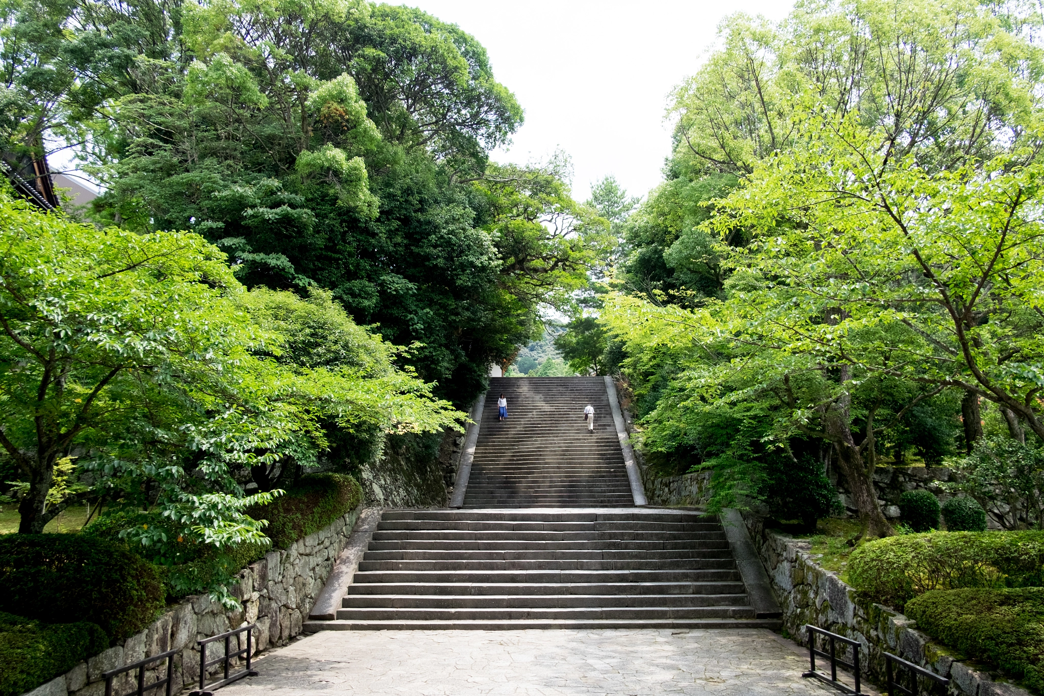 Fujifilm X-T10 + Fujifilm XF 18mm F2 R sample photo. Nature's stairway. photography