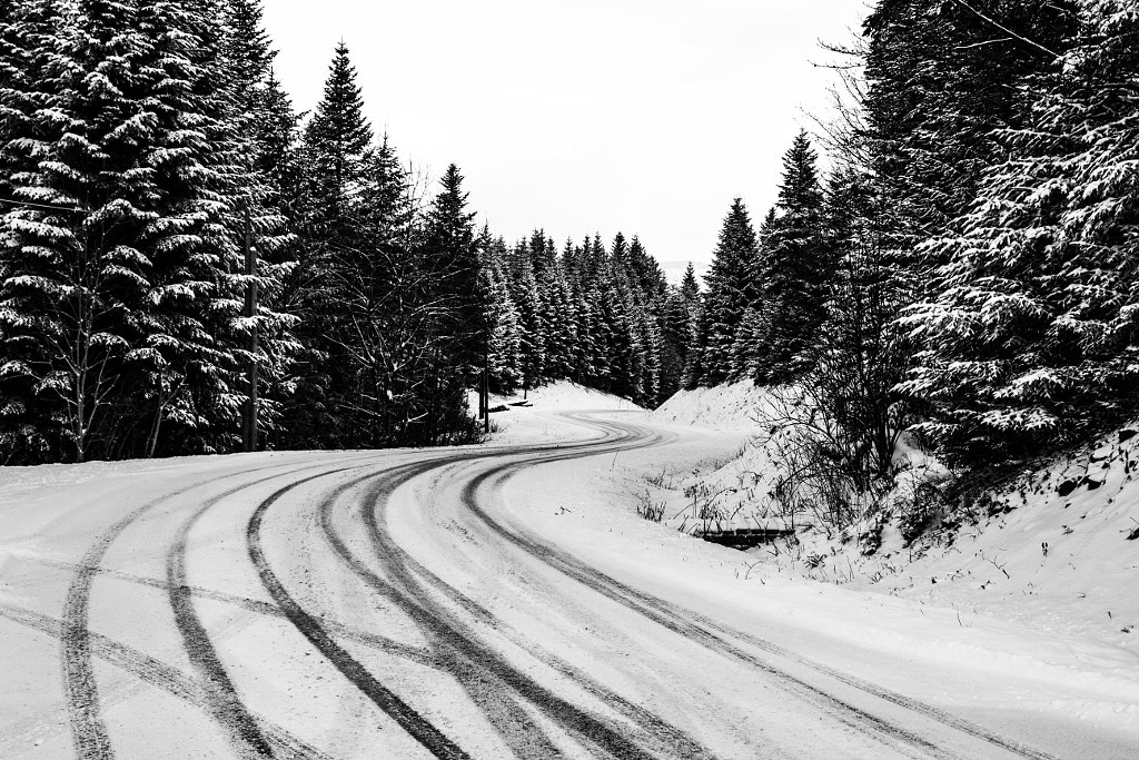 winter road