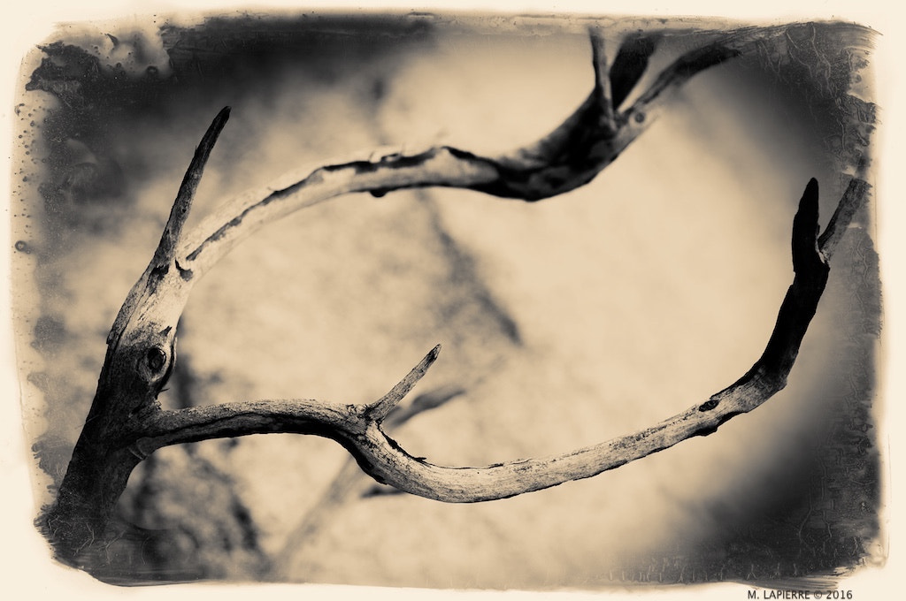 Nikon D3200 sample photo. From my imaginary map a memory photography