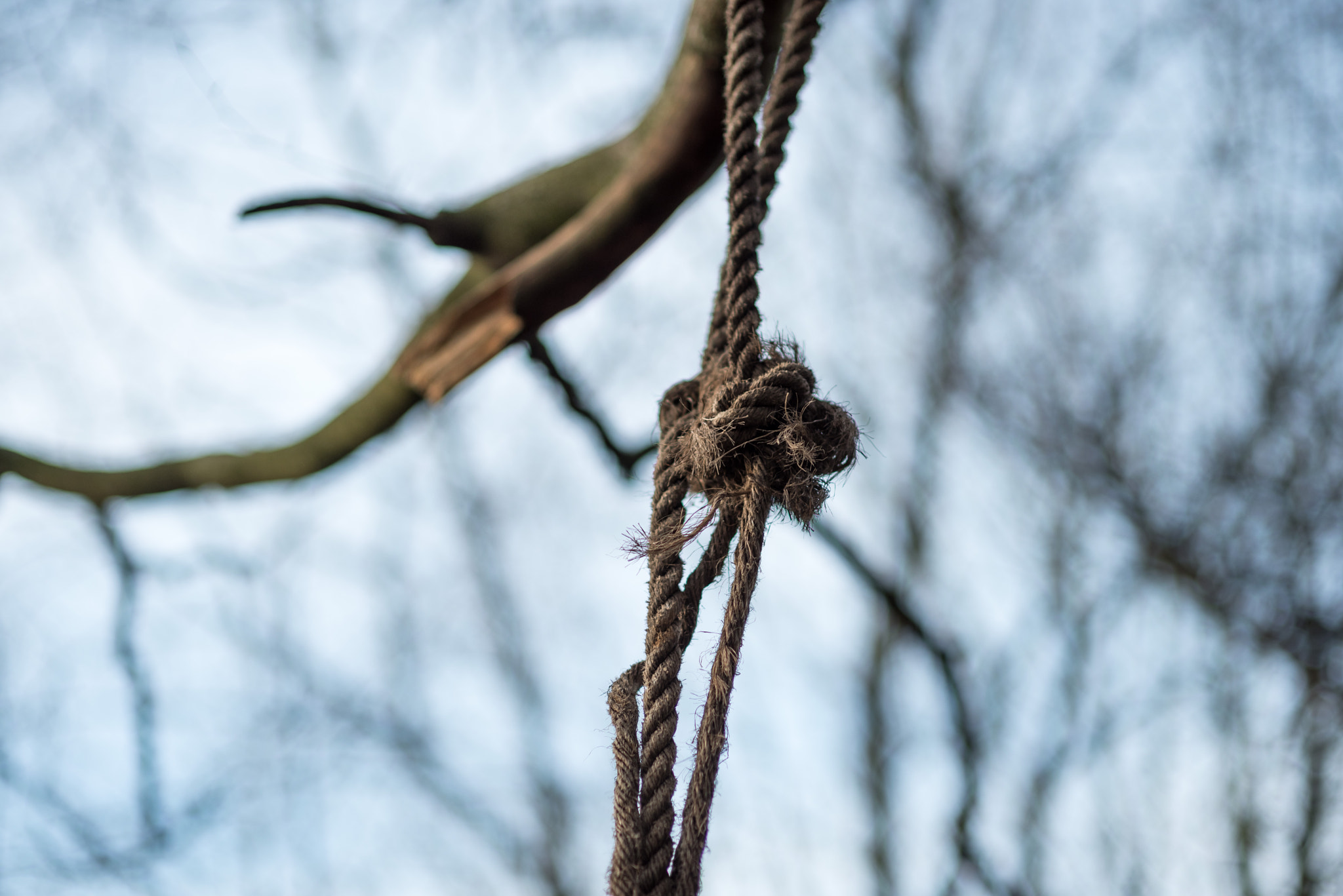 Nikon D750 + Sigma 85mm F1.4 EX DG HSM sample photo. Rope photography