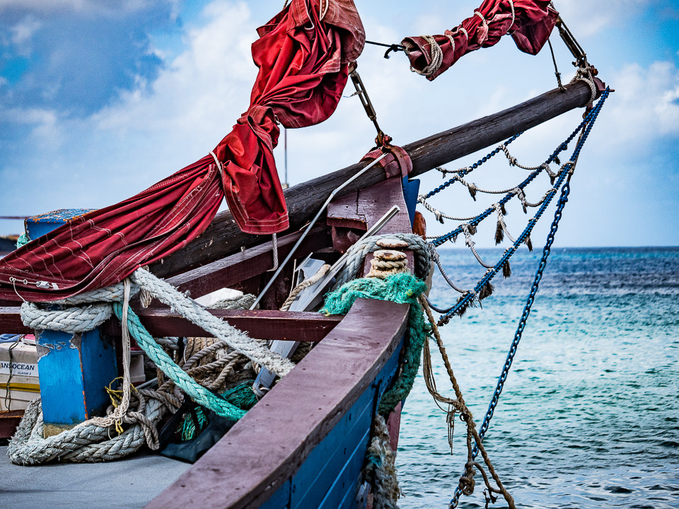 Panasonic Lumix G X Vario 35-100mm F2.8 OIS sample photo. Barbados photography