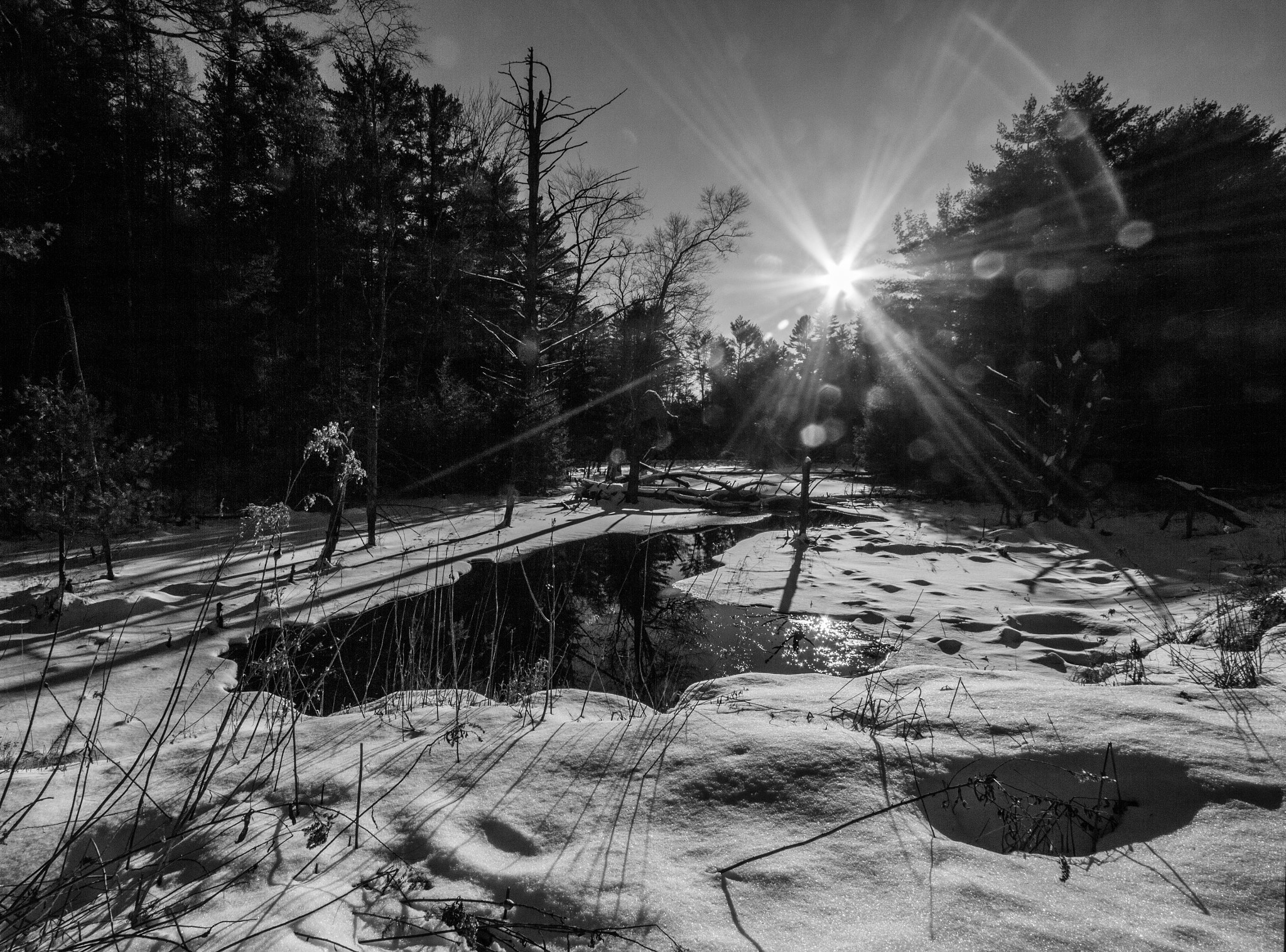 Canon EOS 550D (EOS Rebel T2i / EOS Kiss X4) sample photo. Sunflare over a small pond photography