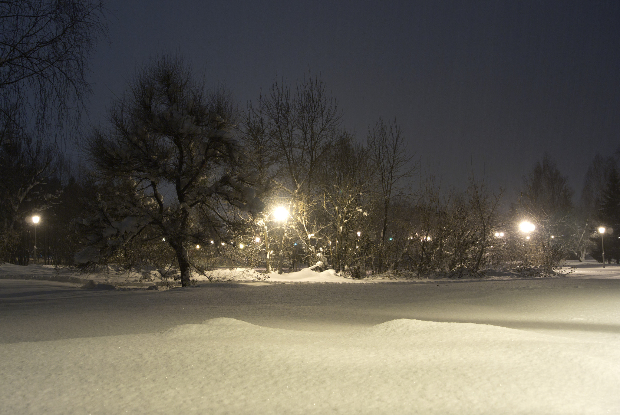Nikon 1 Nikkor VR 10-30mm F3.5-5.6 sample photo. Парк photography