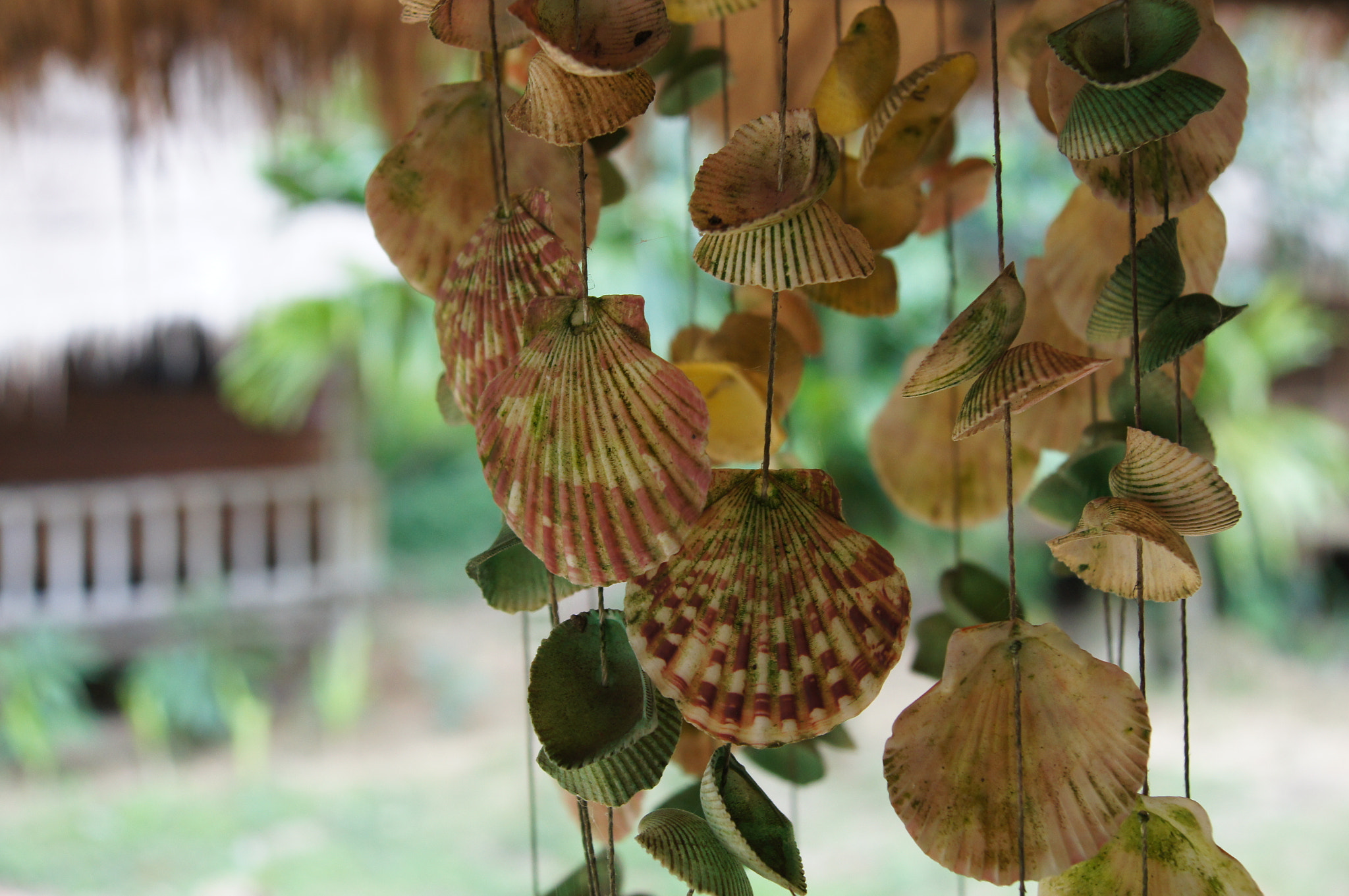 Sony Alpha DSLR-A580 sample photo. Koh rong island.camodia photography