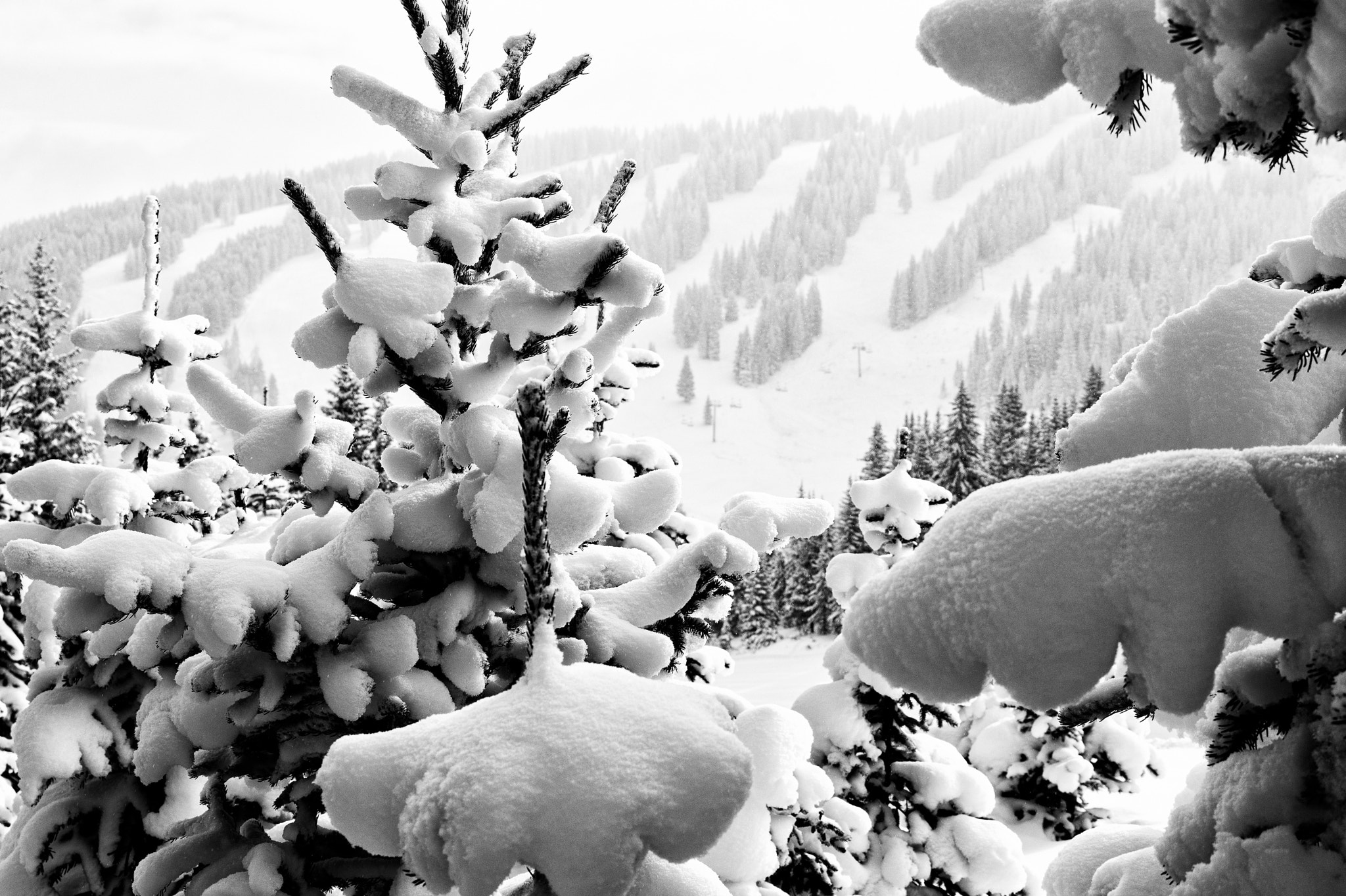 Sony a6300 + Sony Sonnar T* FE 35mm F2.8 ZA sample photo. Frosted snow trees vail colorado winter wonderland photography