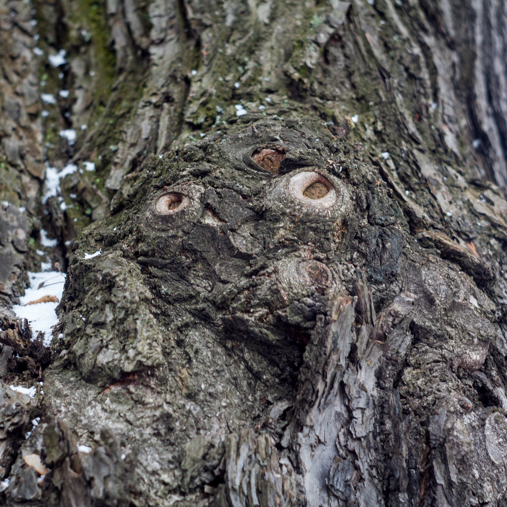 Canon EF 35-80mm f/4-5.6 sample photo. What_are_you_looking_at photography